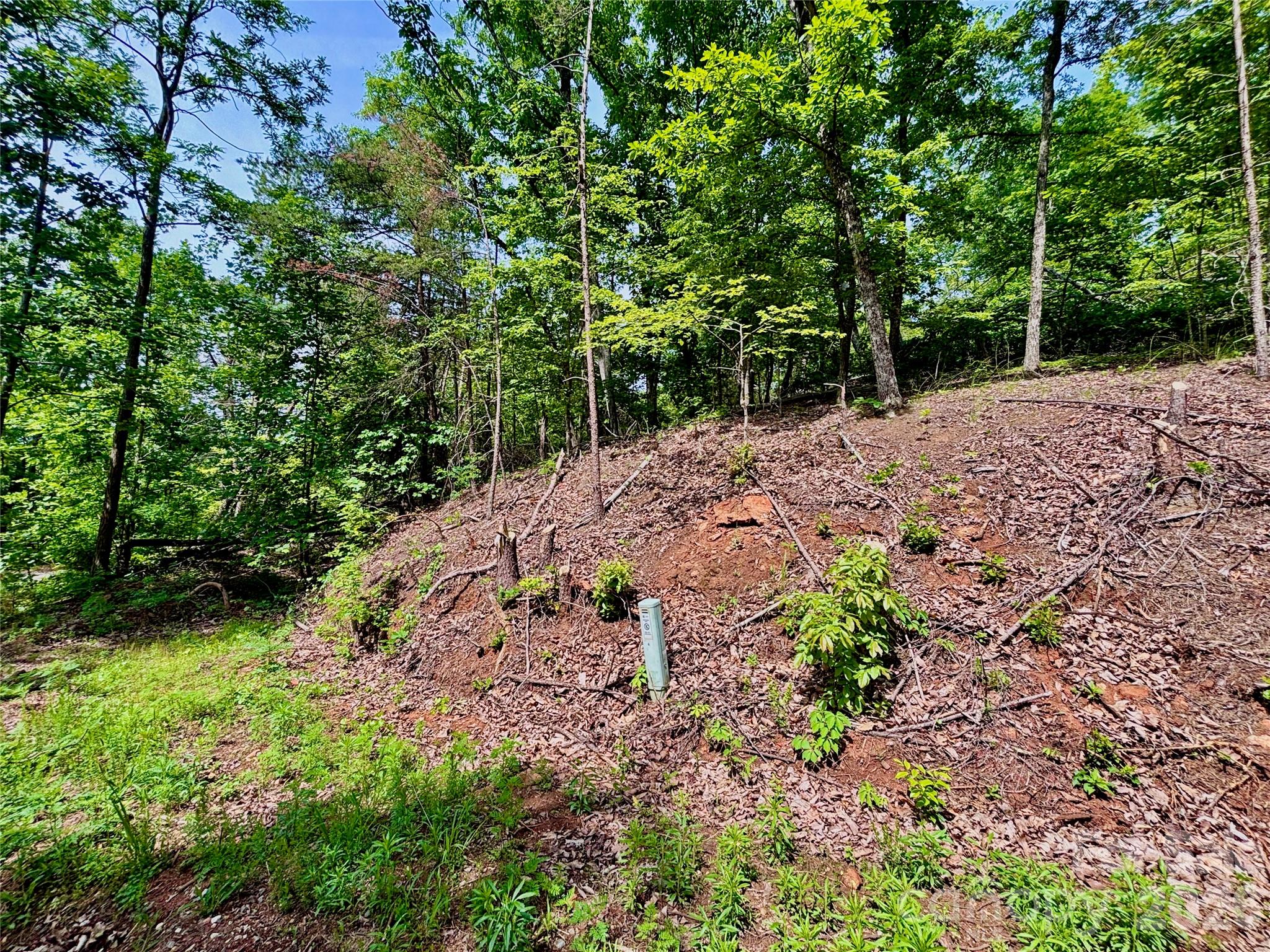 Discover the potential of this 8.31-acre property located in the gated New Forest Mountain subdivision. This wooded tract offers privacy, natural beauty, and a peaceful setting with a homesite positioned near the top of the parcel beside a natural spring. A 1,200 sq ft foundation already exists on the property, providing a head start for your future mountain retreat or full-time residence. The land features steep and sloping terrain with mountain character throughout. A previous driveway is in place but has been impacted by fallen trees following Hurricane Helene. Enjoy the security and serenity of gated mountain living while still being conveniently located to nearby amenities.