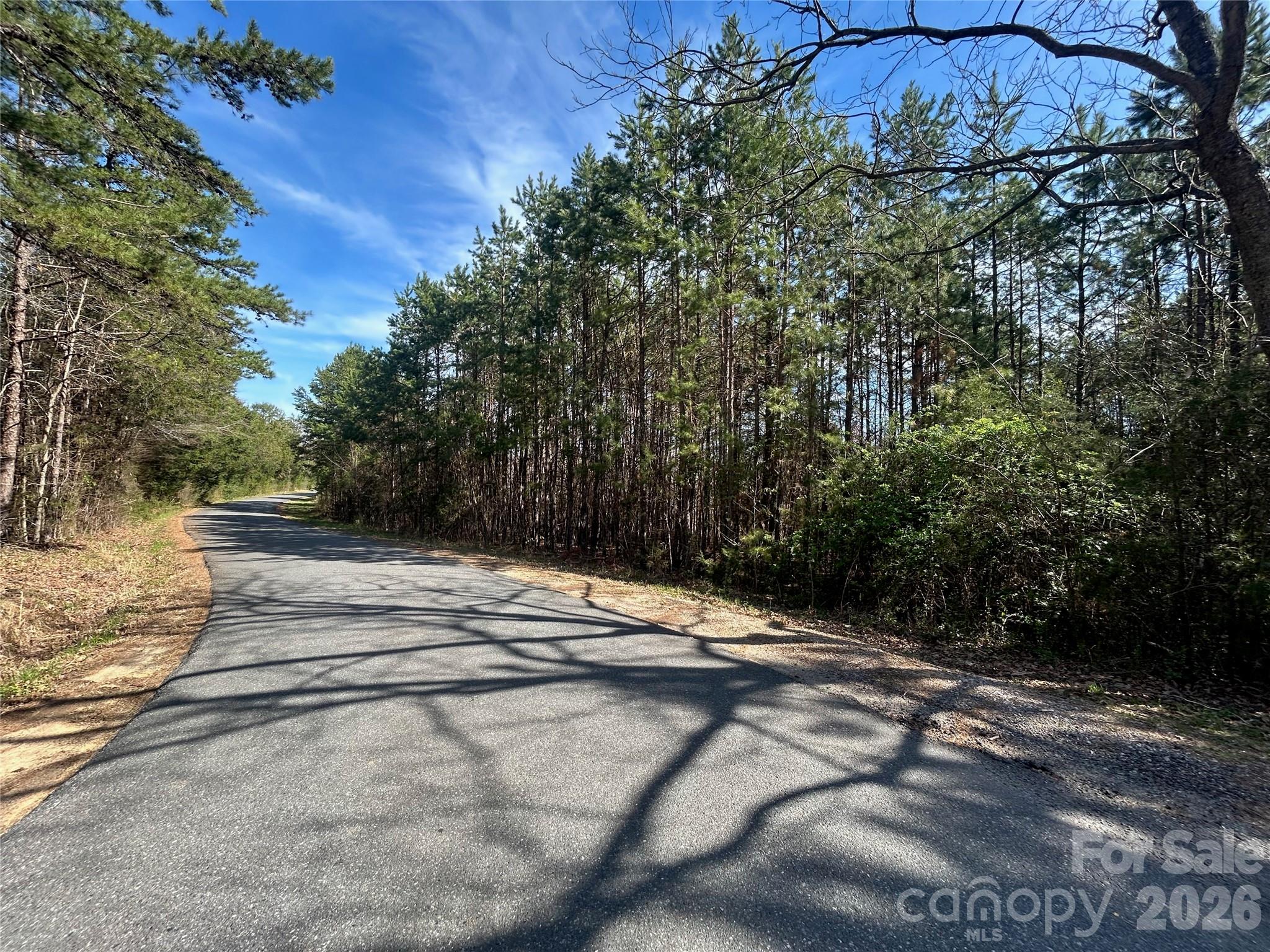 Discover the endless possibilities with this expansive 30-acre parcel of raw land. Nestled in a serene and picturesque setting, this property offers a blank canvas for your dreams. Whether you're looking to build your dream home, start a farm, or invest in future development, this land provides the perfect opportunity.  Mix of flat and gently rolling hill,  mature hardwoods and pine trees.  Conveniently situated near local amenities, schools, and shopping.