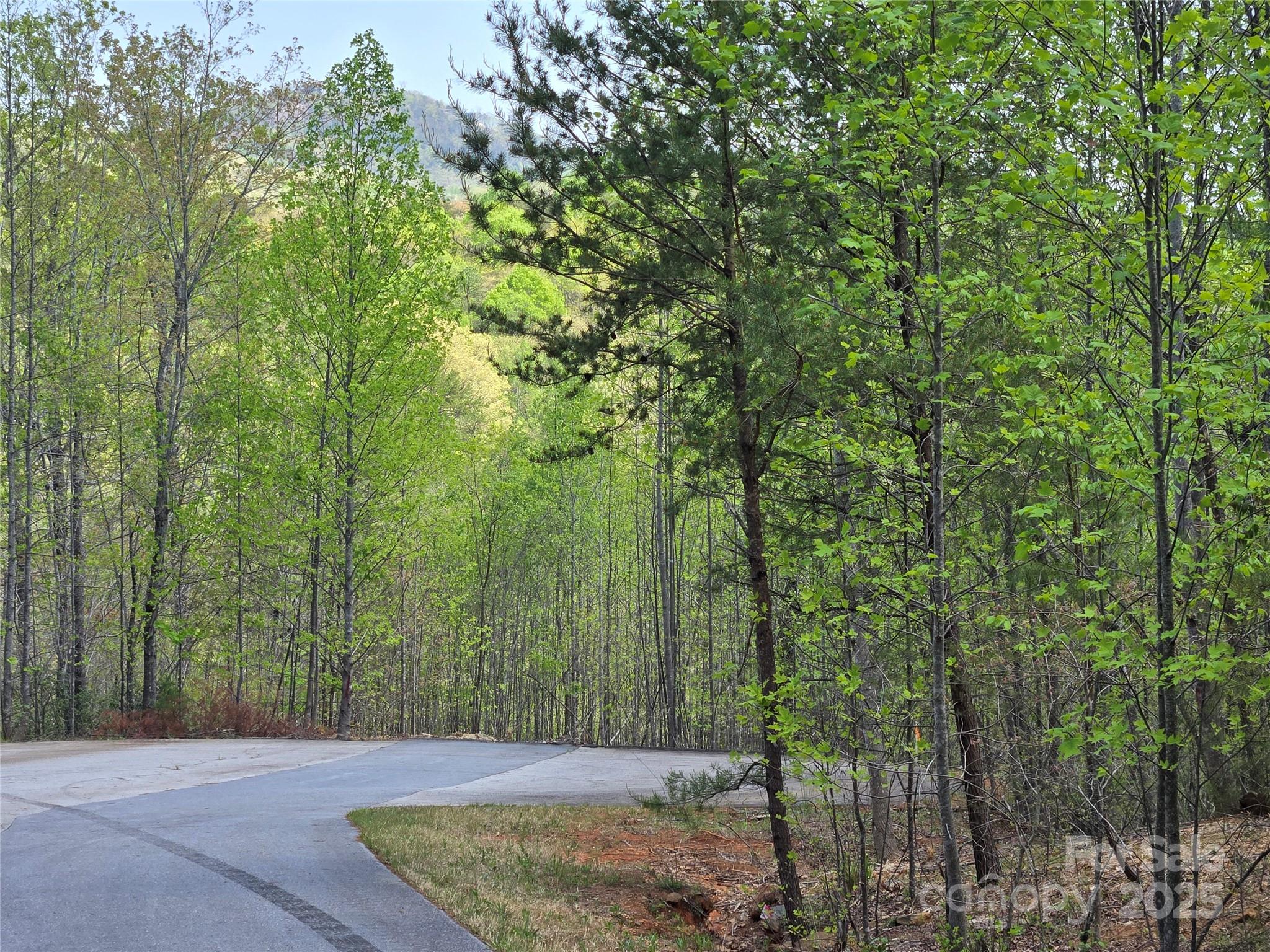 Rumbling Bald on Lake Lure - Land