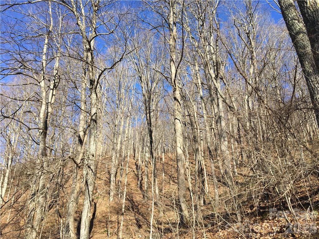 This is an ideal parcel for investment or buyer seeking spectacular views, high elevation and end of road privacy. The property is surrounded by large wooded lot. By critically siting the driveway and septic system, not much additional clearing will be needed for awe inspiring year around views. There is a very nice small knoll for homesite area about halfway up near the center of the property.
The adjoining parcel is similar in topography, has a driveway cut in and home site graded and could be combined with the subject property to create 2 or possibly 3 home sites 
Fairview Forest is a park like community with homes tucked away on generous wooded parcels. It features hiking trails, abundant wildlife and clubhouse is located along side a pristine mountain creek and is a wonderful place for large gatherings and community events.
Expired septic permit for 3 BR home