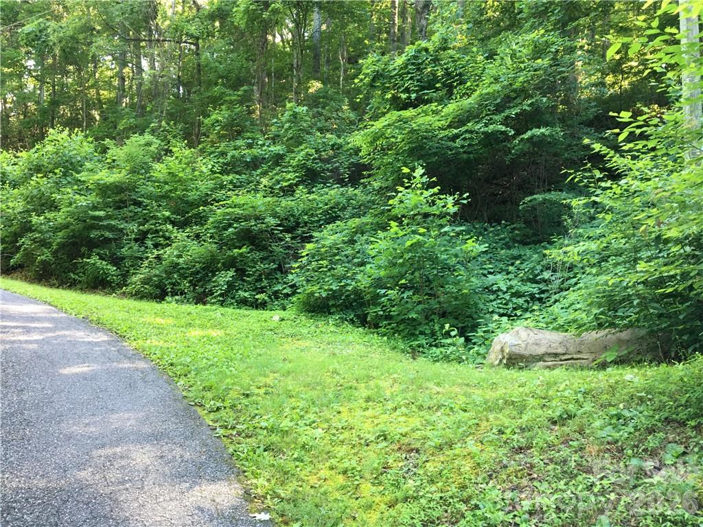 Fairview Forest - Land