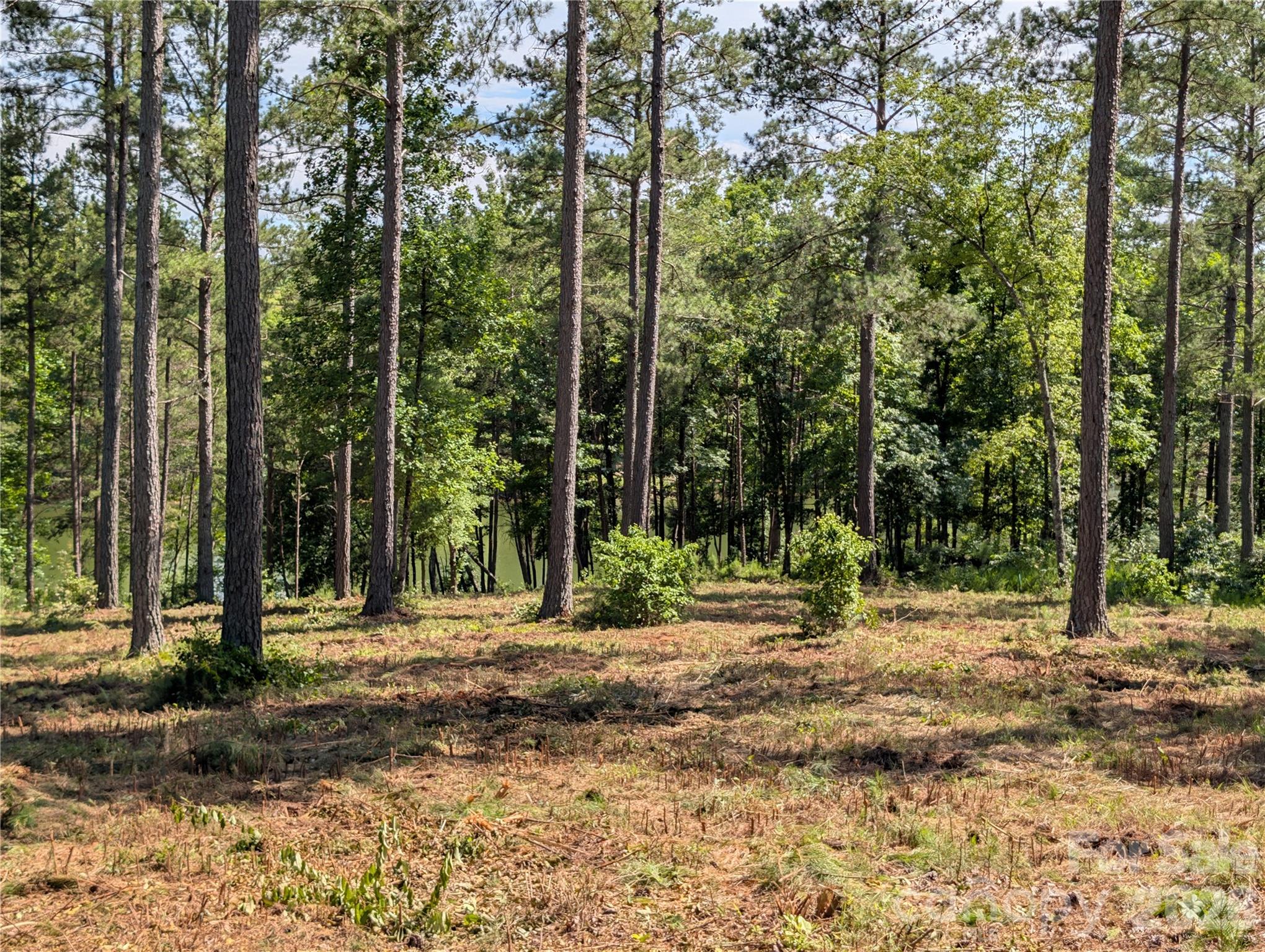 Lakeside Reserve - Land