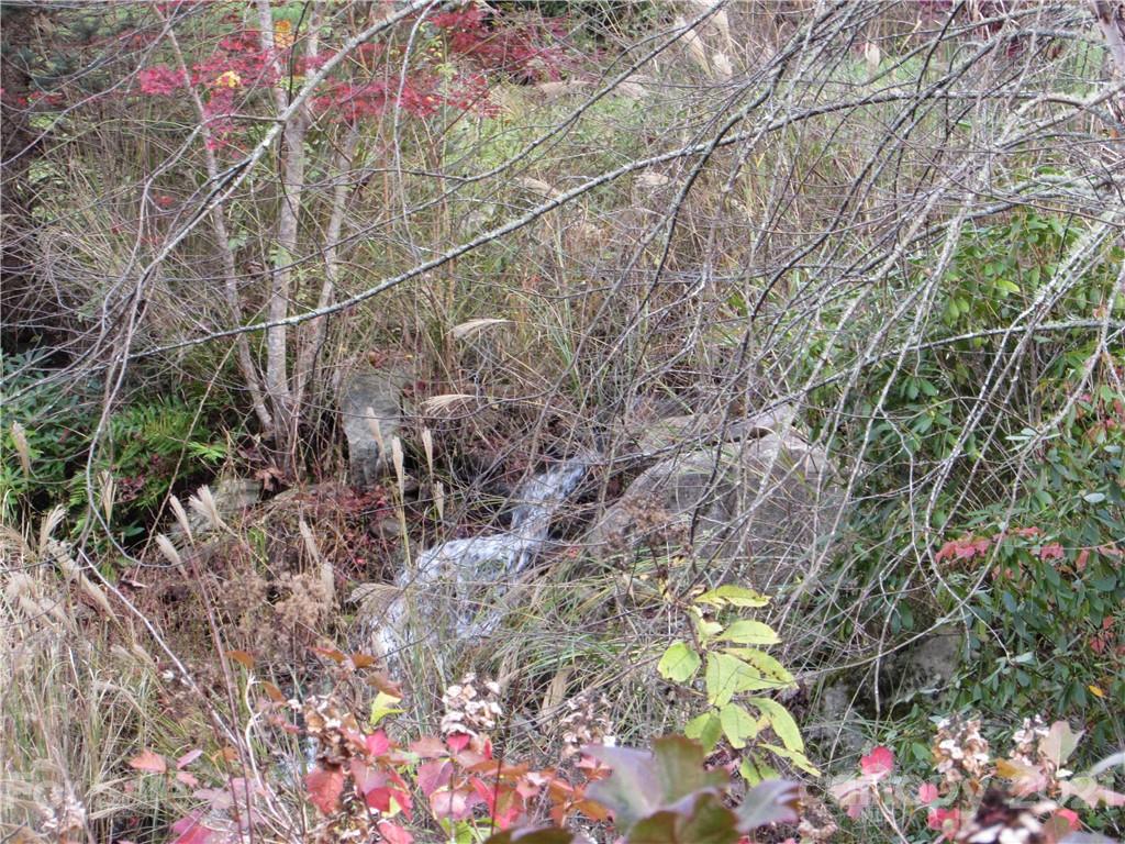 Red Wolf Run - Land