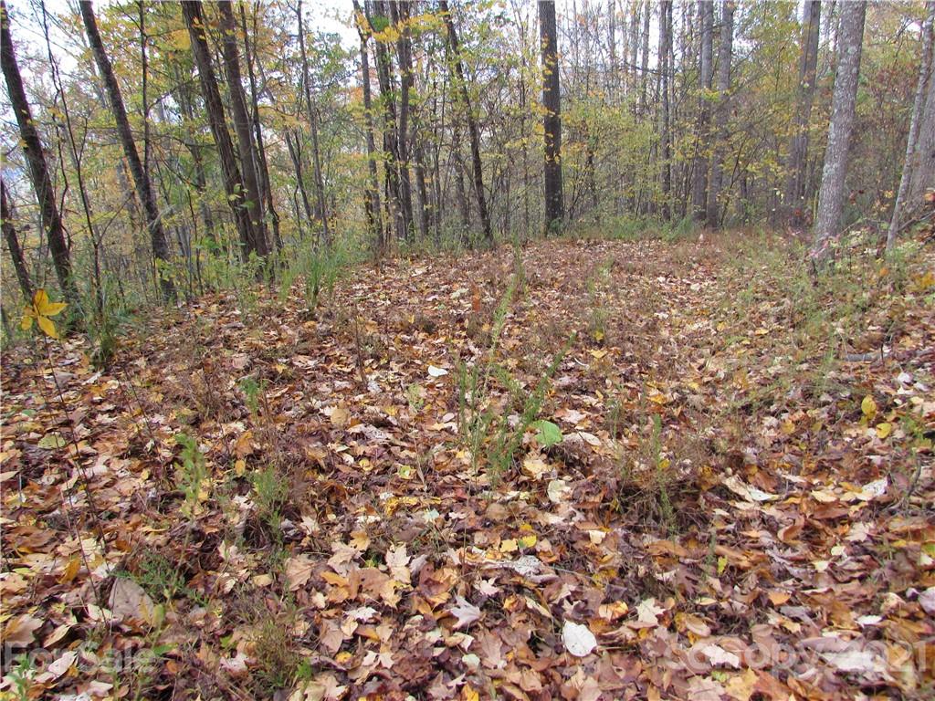 Owner Says Sell !!  All legal offers will be submitted for Approval. Don't miss these Great Savings !! Red Wolf Run is the perfect mountain community to escape to for your vacation or year round retirement home with 3000+'elevations. Features a clubhouse, green space with picnic area, waterfall and pond with catch-release fishing, gazebo, trails. This 3.25 acres has access from upper and lower road. Gentle moderate building sites from lower road access and upper road with building site. Underground electric, fiber internet and telephone offers views with no obstruction. 15 minutes to the town of Mars Hill or Wolf Laurel Ski Resort. Under 30 minutes to Asheville and 15 minutes to Burnsville.  The Black Mountains have become the destination for many wanting to escape. Plenty to do yet the privacy to relax and enjoy life.  Start here by visiting this  beautiful mountain development with protected common areas, waterways, conservation areas and streams. Combine 17 & 18 & 20. Owner Financing at 1/2 of prevailing rates.