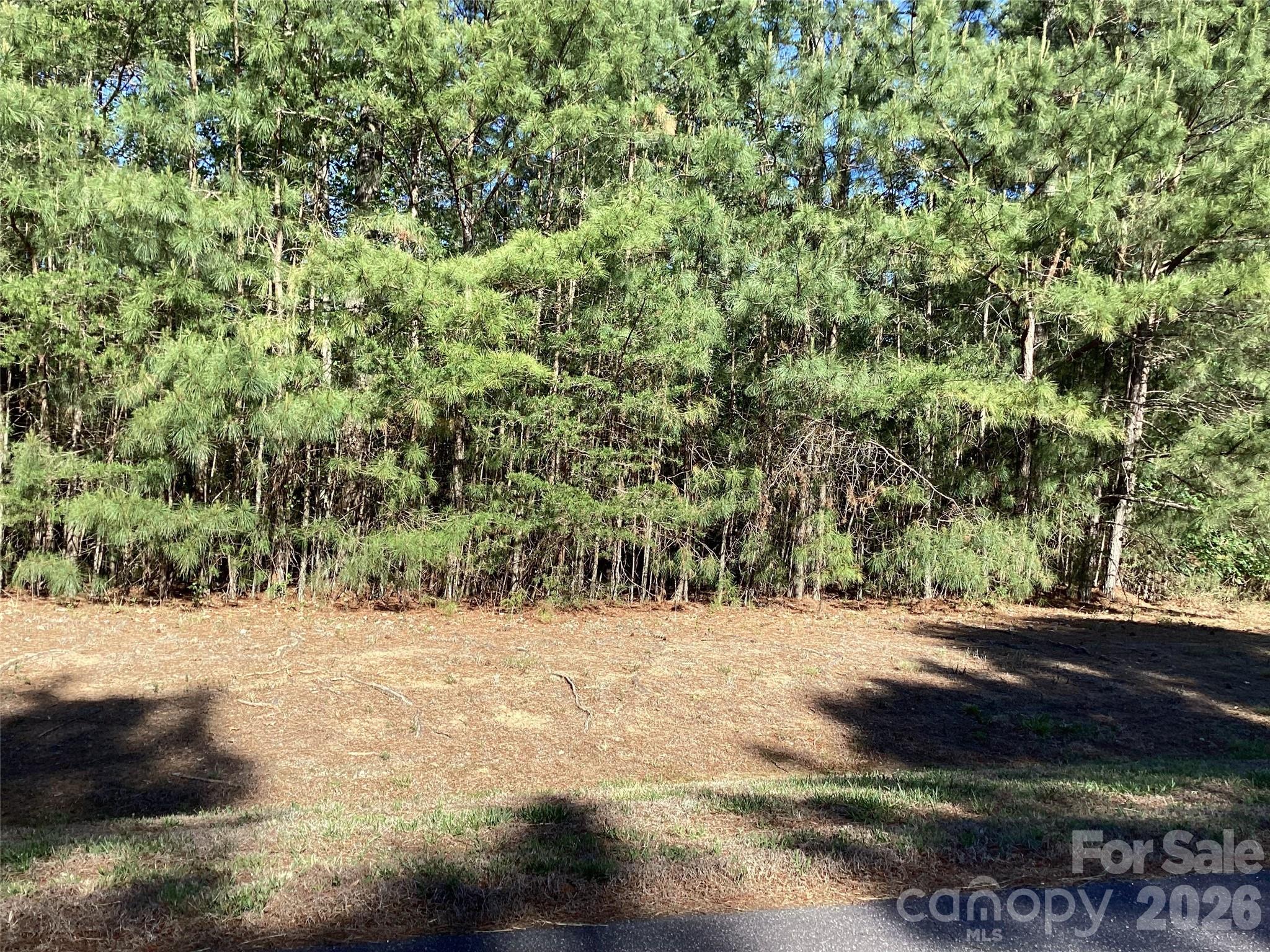 Waterfront opportunity in Harbor Ridge on Lake Rhodhiss! Lot 67 at 101 Pier Point offers the chance to build your lake retreat in a gated Connelly Springs community surrounded by water, trees, and foothills scenery. Lake Rhodhiss is known for its clear water and year-round recreation, including boating, swimming, water skiing, fishing, and quiet days on the lake.

This undeveloped homesite gives you the canvas to create the lifestyle so many buyers are looking for — morning coffee with lake views, afternoons on the water, sunset cruises, fresh mountain air, and a slower pace without being completely disconnected. Located near the community boat slips and lake access area, the lot is well positioned for enjoying the natural setting that makes Harbor Ridge feel like a true retreat.

Harbor Ridge offers convenient access to Hickory, Charlotte, Asheville, Winston-Salem, Boone, and the surrounding foothills/mountain areas. Buyer/buyer agent to verify lot dimensions, building requirements, HOA/architectural guidelines, utility availability, septic permitting, shoreline details, community amenity access, and dock/boat slip eligibility.