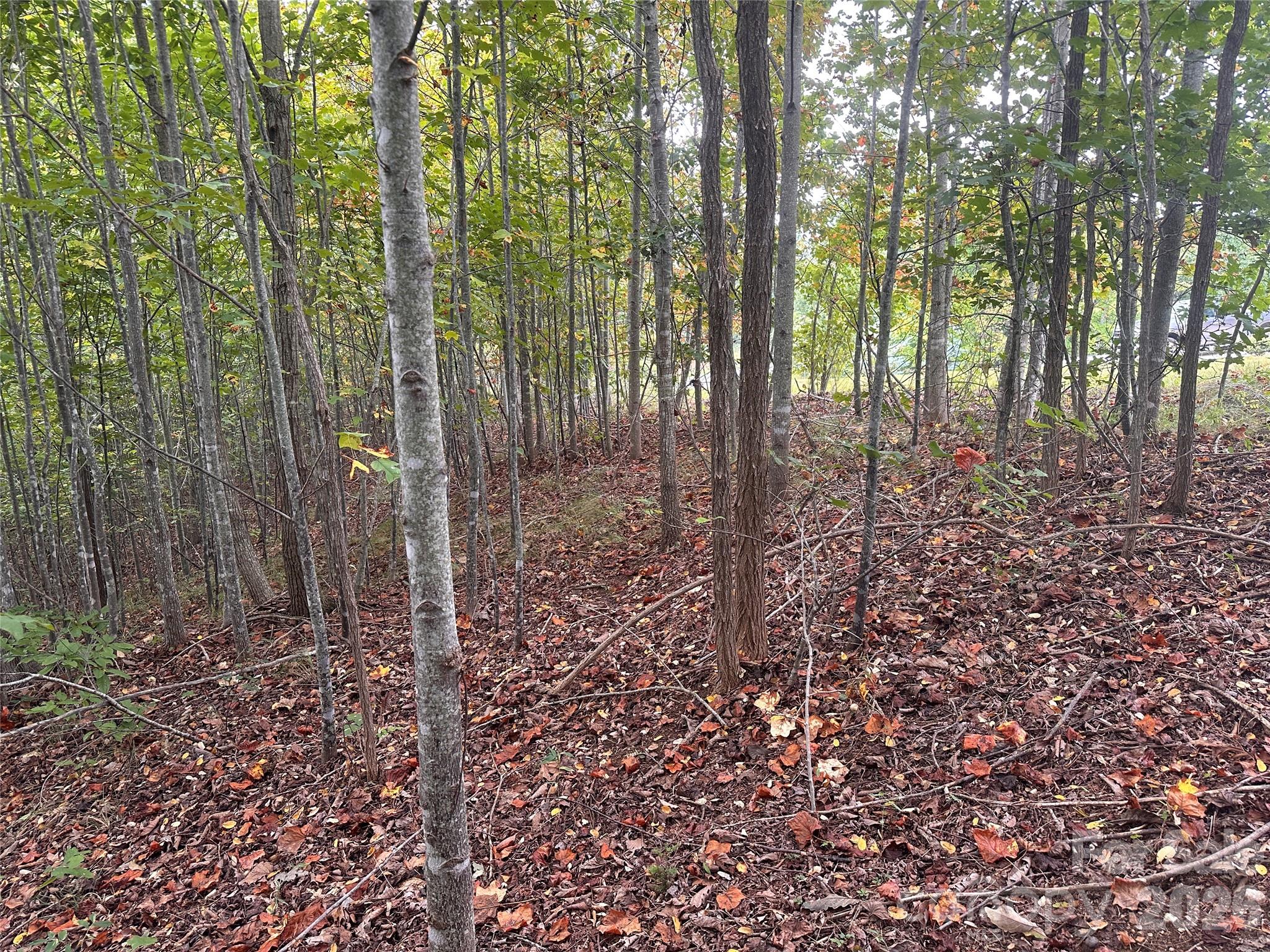 Don't miss opportunity to build your mountain home on a beautiful lot in premier gated mountain community Grandview Peaks!  This 1.83 acre homesite offers a gentle slope and has great view potential with the removal of just a small amount of trees. Imagine rocking in a chair on your back porch while overlooking a gorgeous mountain range. The community offers so much including a man-made lake with a white sand beach for relaxing in the sun, swimming laps, or snagging some rainbow trout. There are miles of hiking trails that offer all the best nature has to offer.  The community is gated & has just the right balance of protections to ensure your privacy and peace & quiet.  If a serene life is what you seek, come see this homesite now!