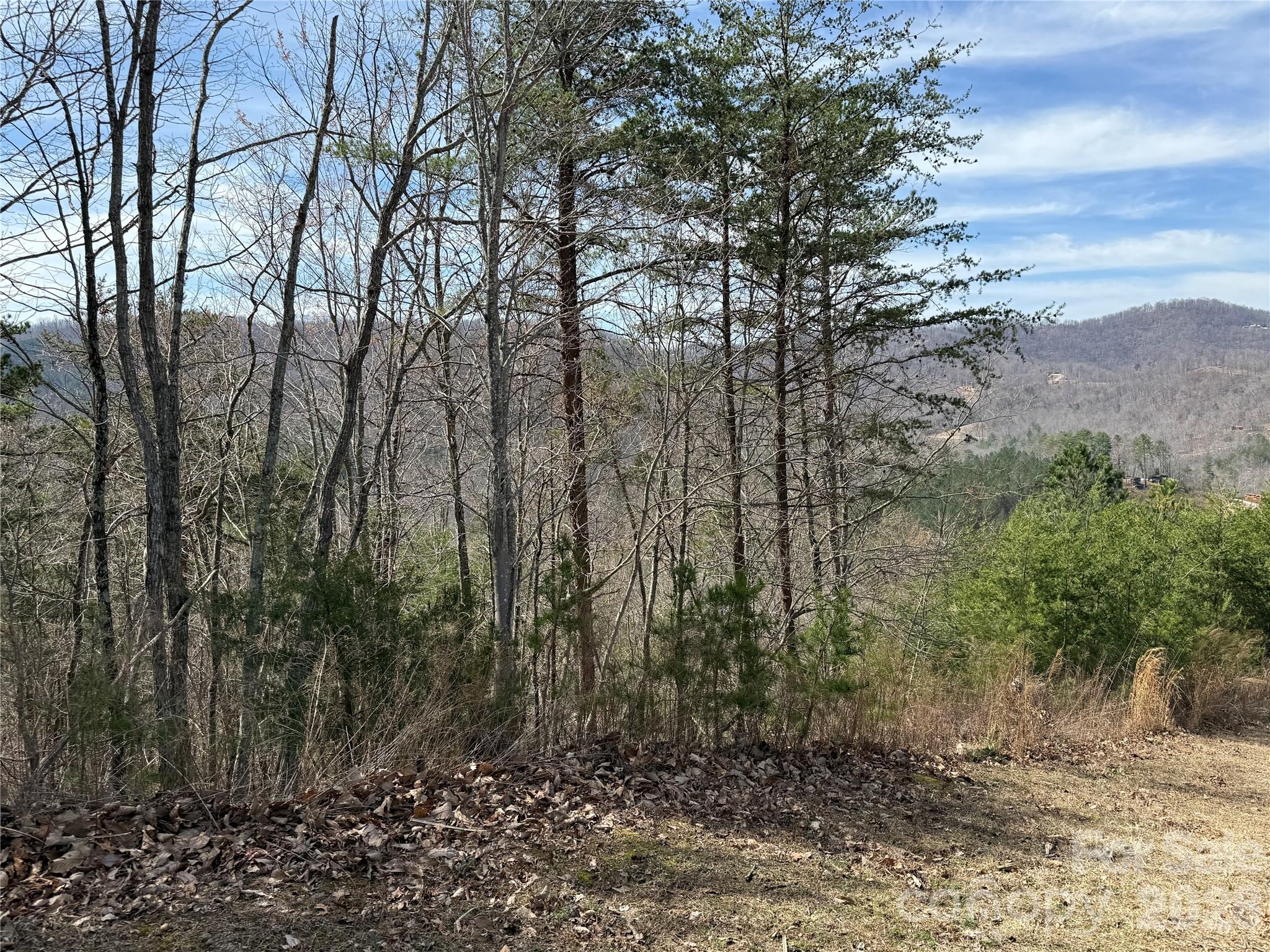 Considering all offers. Beautiful 7.44-acre homesite in the gated mountain community of South Mountain Peaks. Lot 165 on Pinegrove Drive offers privacy, natural beauty, and impressive long-range mountain views, with multiple potential building sites to choose from. A partially roughed-in gravel driveway is already in place, helping reduce initial site-prep uncertainty and making it easier to visualize your future mountain home.

South Mountain Peaks is known for its peaceful setting, paved road access, and large wooded parcels, offering a true mountain retreat without being completely remote. Conveniently located within reach of Lake Lure, Marion, Morganton, Black Mountain, Asheville, Hendersonville, the Blue Ridge Parkway, shopping, dining, and outdoor recreation.

Now offered at an improved price of $40,000 and priced below the county tax value. A great opportunity for buyers seeking acreage, views, privacy, and gated-community living in Western North Carolina.