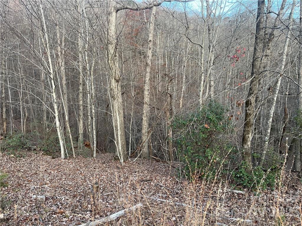 Riverbend at Lake Lure - Land