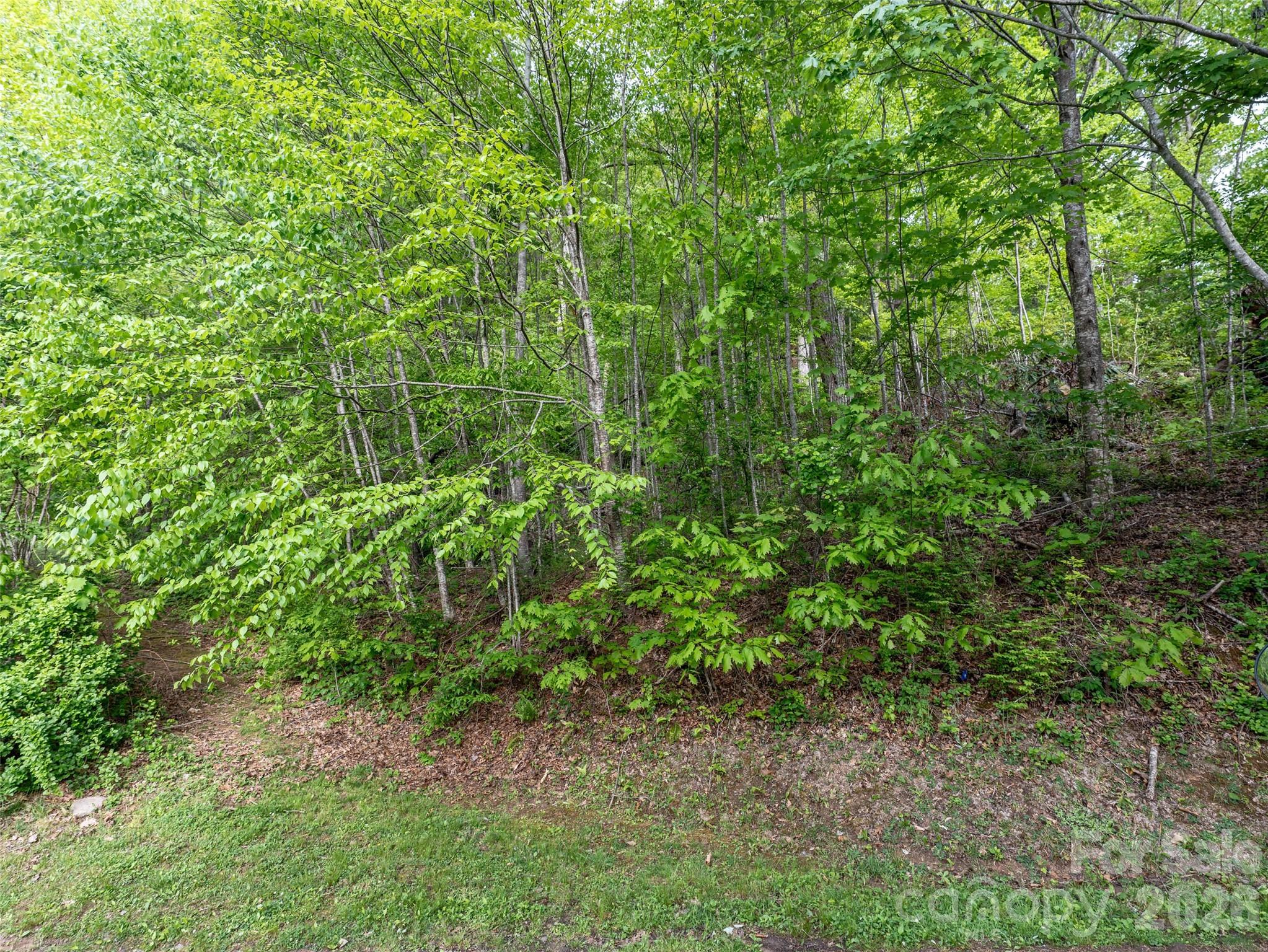 Junaluska Highlands - Land