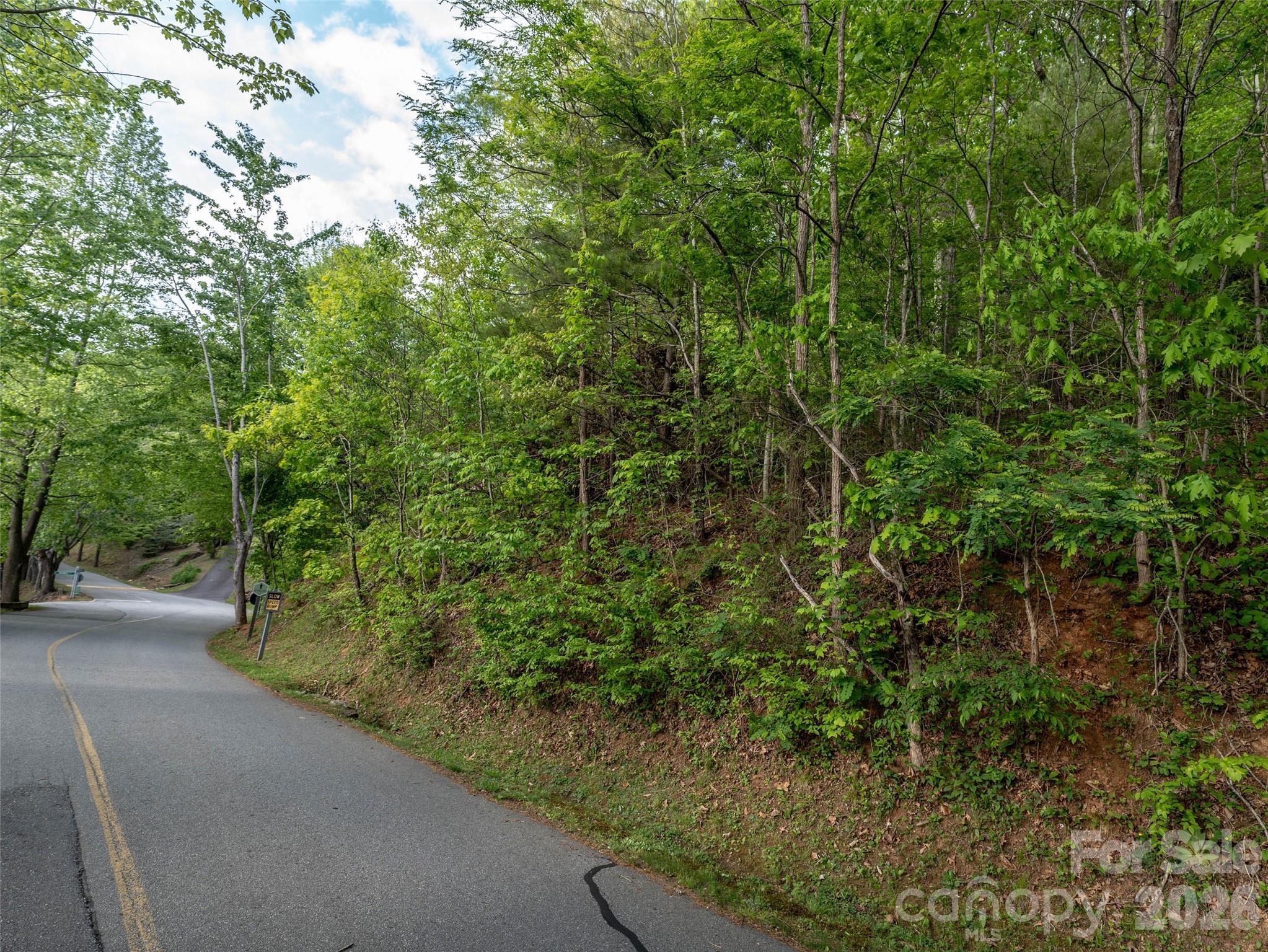 Junaluska Highlands - Land