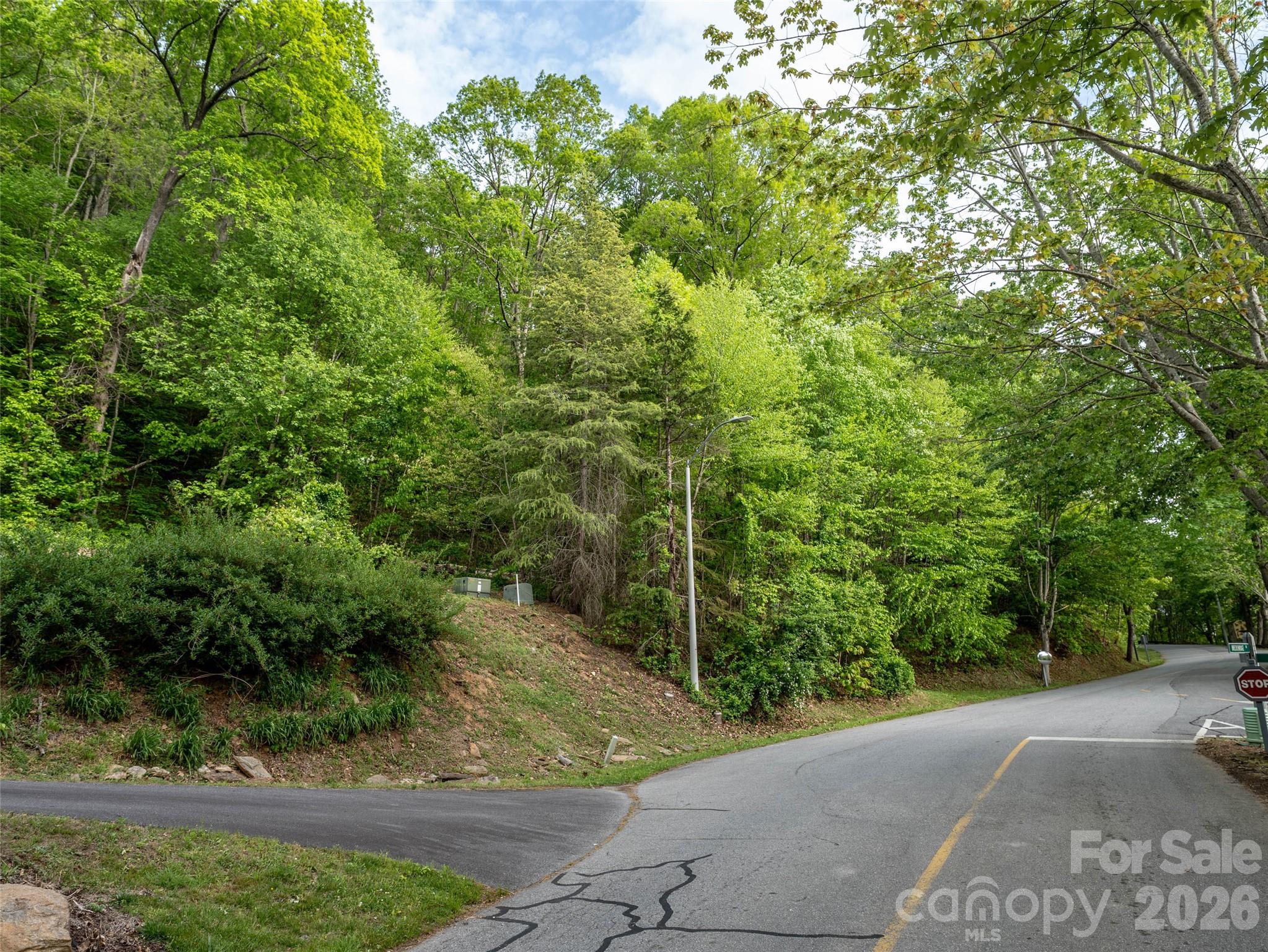 Junaluska Highlands - Land