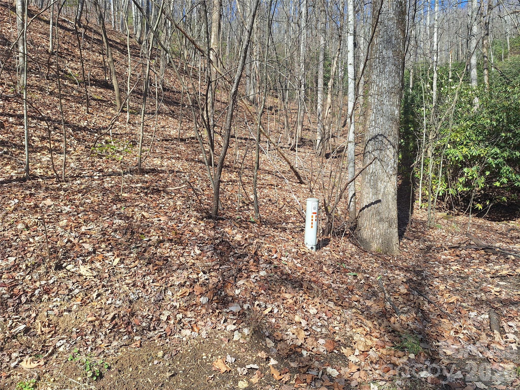 Gateway Mountain - Land