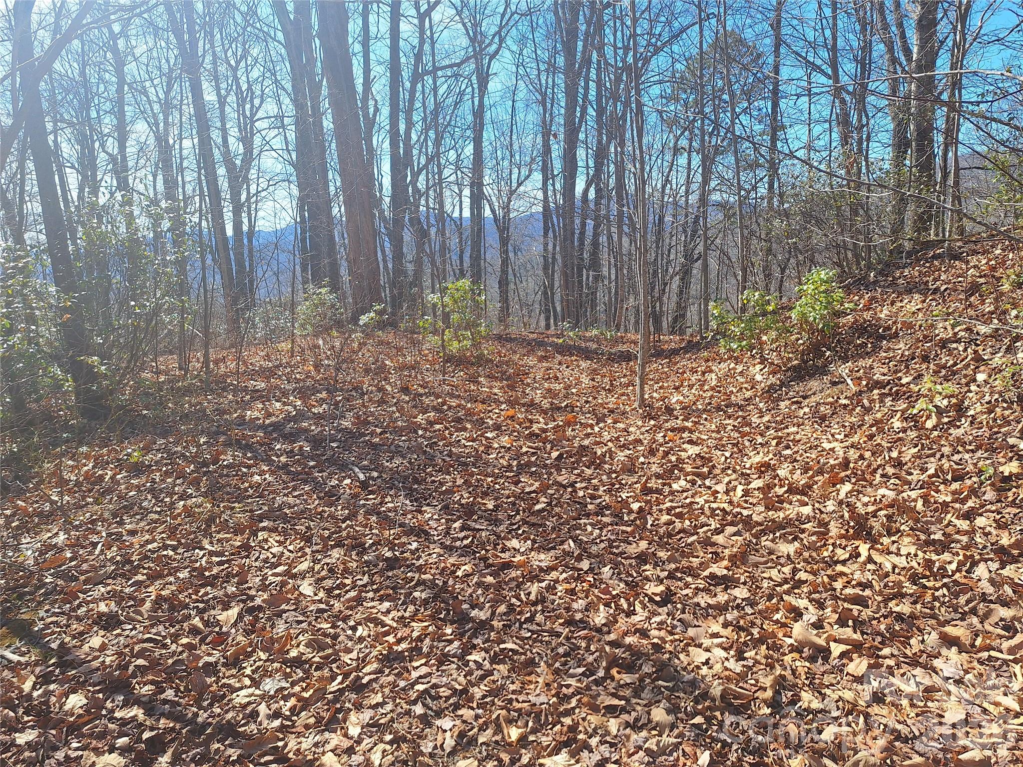Gateway Mountain - Land