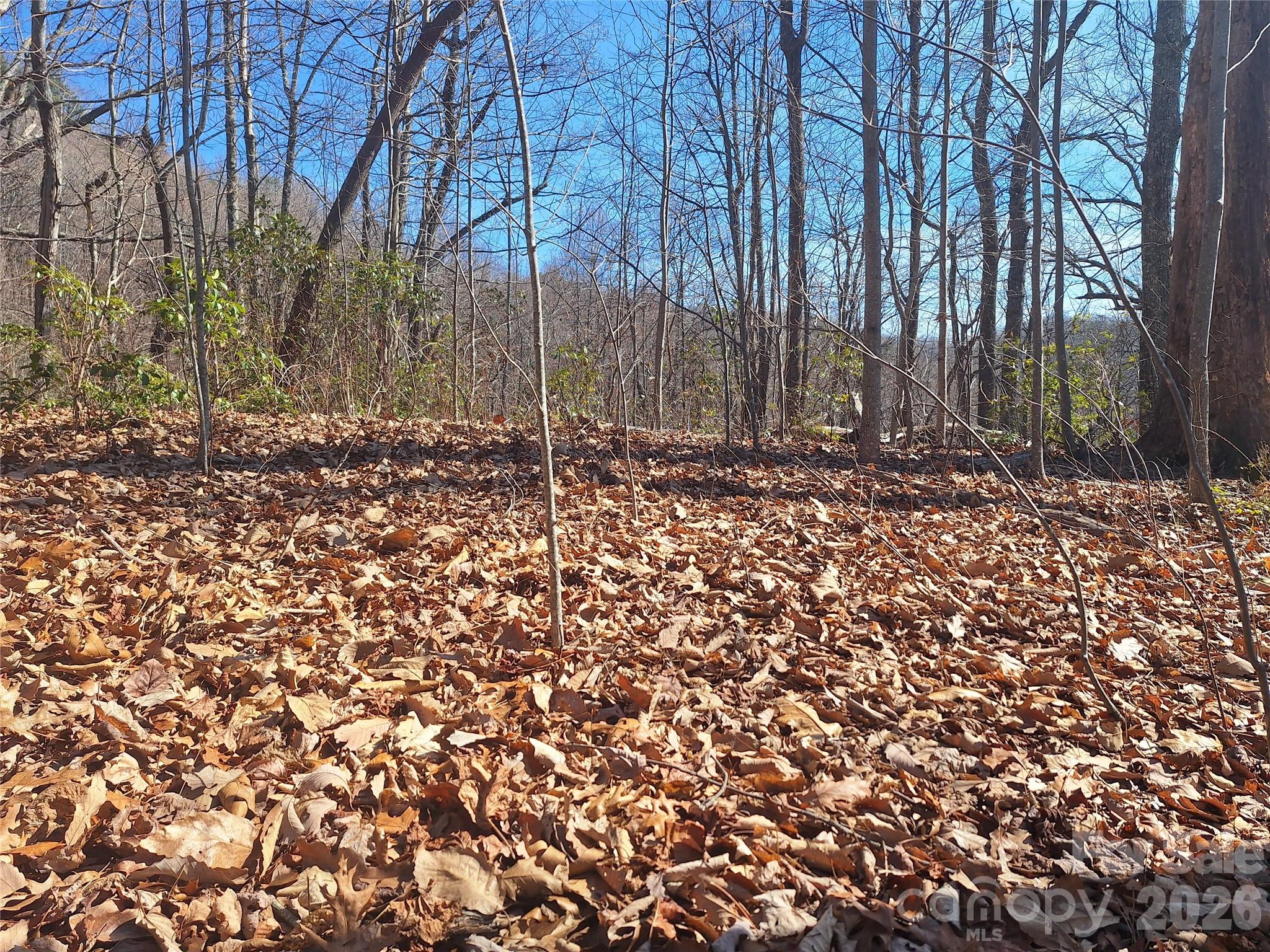 COME AND SEE!! This land parcel offers privacy, natural beauty, and the perfect setting to build your mountain retreat or investment property.

Electricity hookups are available, making it easier to start planning your future build. The property offers generous space to create your ideal layout while enjoying the peaceful surroundings and breathtaking mountain views the community is known for.

Gateway Mountain features incredible amenities including a community lake for swimming and fishing,  and hiking trail to observe Waterfall Park. The HOA maintains the roads and provides winter snow maintenance, giving you added convenience and peace of mind year-round.

Located just 25 minutes east of Black Mountain, 40 minutes to Asheville, and 35 minutes to Lake Lure, you get the perfect balance of privacy and accessibility. Whether you're looking to build now or secure land for the future, this property offers exceptional value in a beautiful mountain setting.