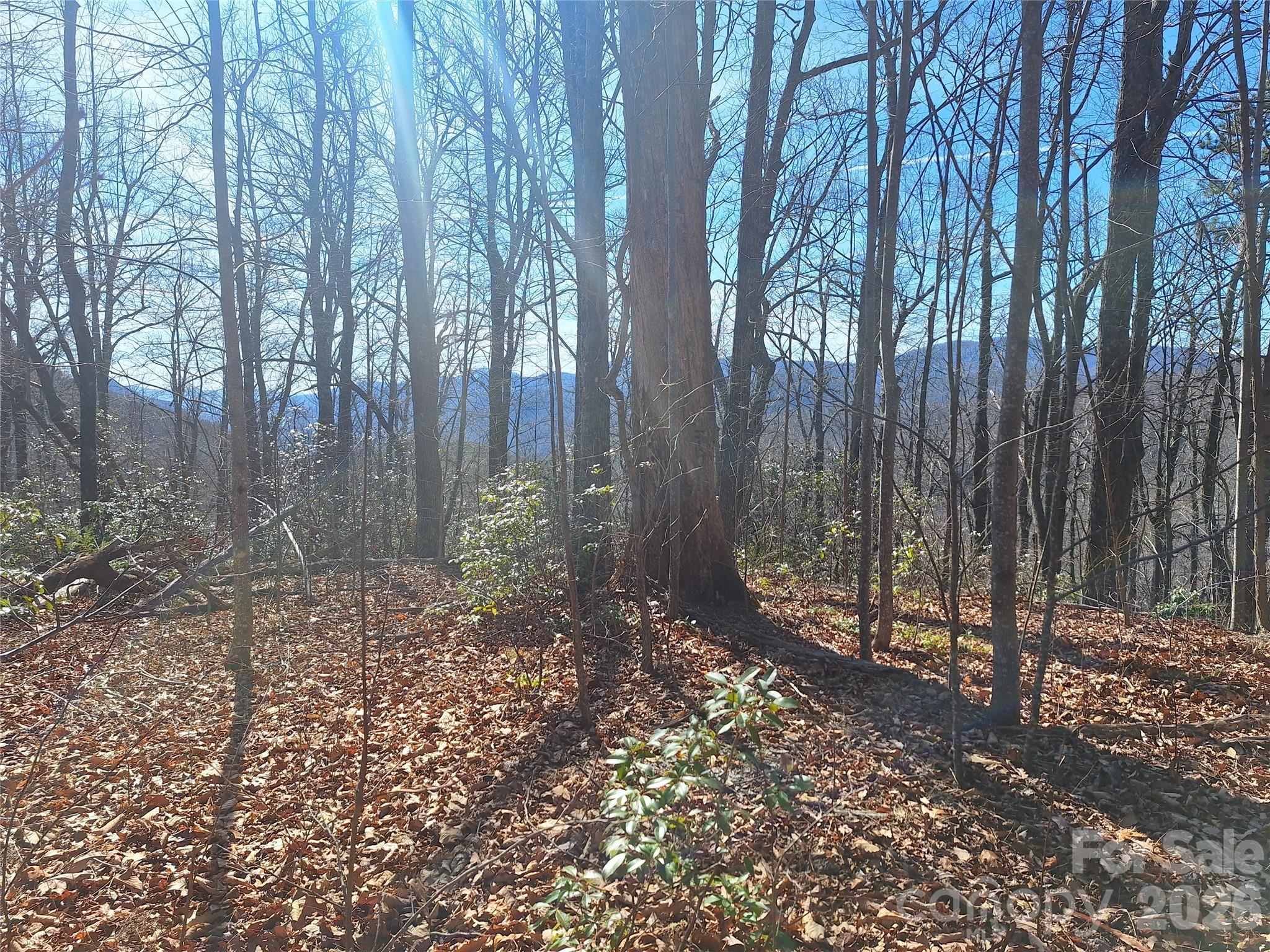 Gateway Mountain - Land