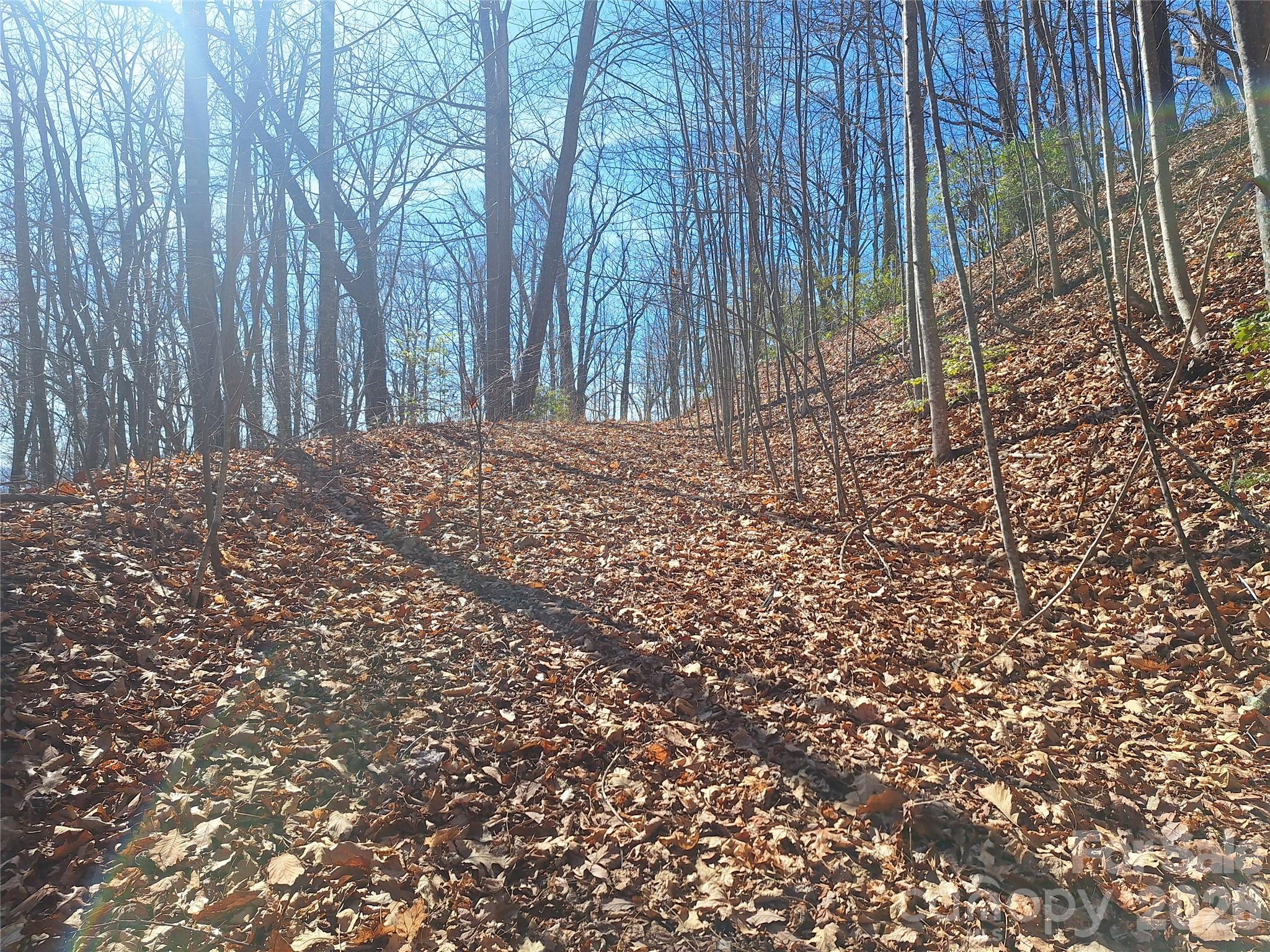 Gateway Mountain - Land