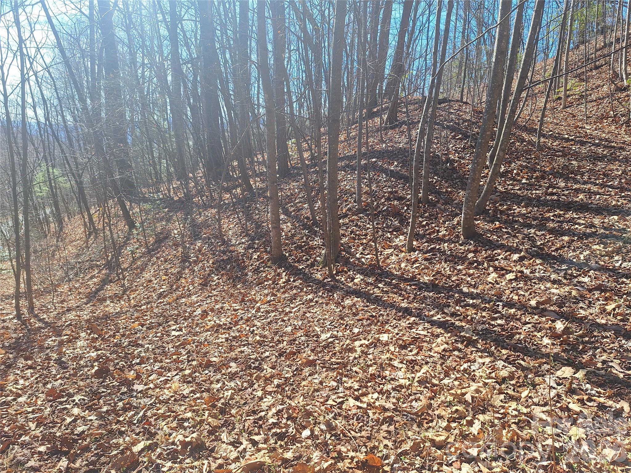 Gateway Mountain - Land