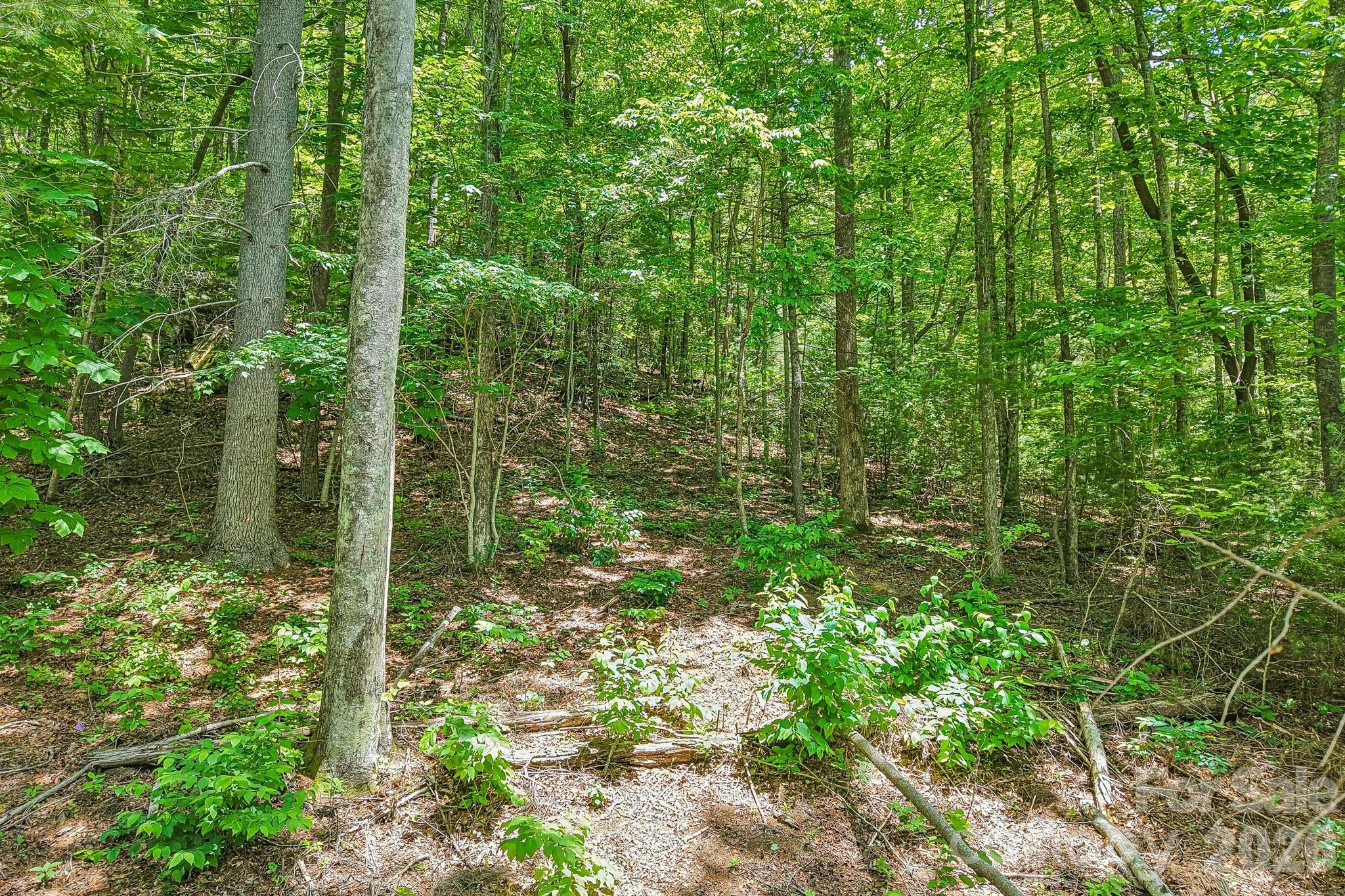 Pinnacle Falls - Land