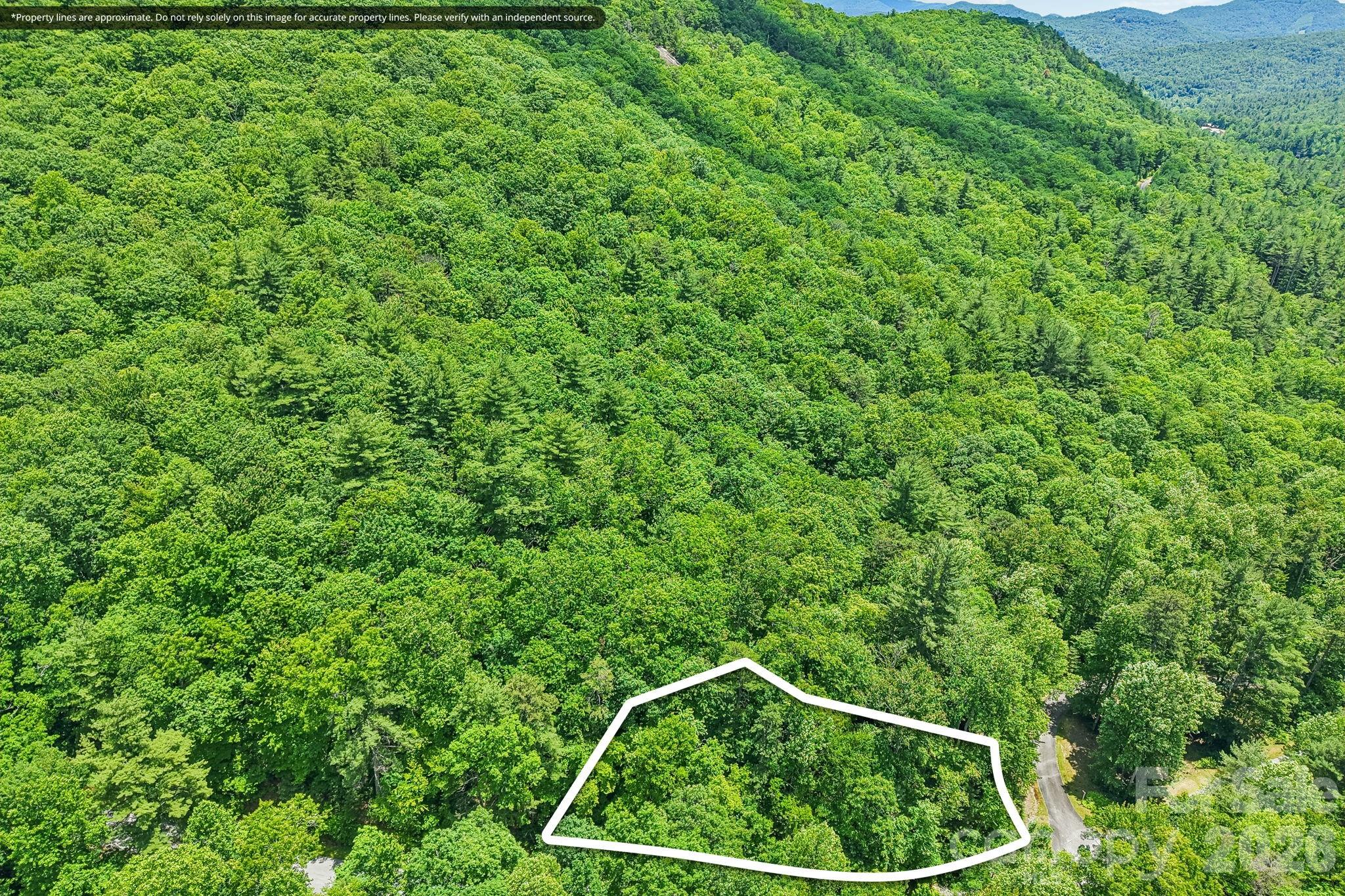 0.5-acre corner lot in The Forest at Pinnacle Falls, a private gated mountain community in Zirconia, NC, near Flat Rock and Hendersonville. Per seller, a soil scientist has confirmed the lot will perc for a 3-bedroom septic system, giving buyers a helpful starting point for future build planning. The Forest design guidelines allow one-story cabins with a minimum of 1,000 sq ft of heated living space, with other home styles subject to specific requirements and ARC approval. Annual HOA dues are $1,700. Pinnacle Falls features private POA-maintained paved roads, underground utilities, water service, lodge, pool, hot tub, sauna, fitness facility, gathering spaces, protected common green space, pond, waterfall, creeks, and hiking trails. Buyer to verify septic permitting, utilities, setbacks, HOA/POA details, and current ARC guidelines. Agent must accompany clients into gated neighborhood