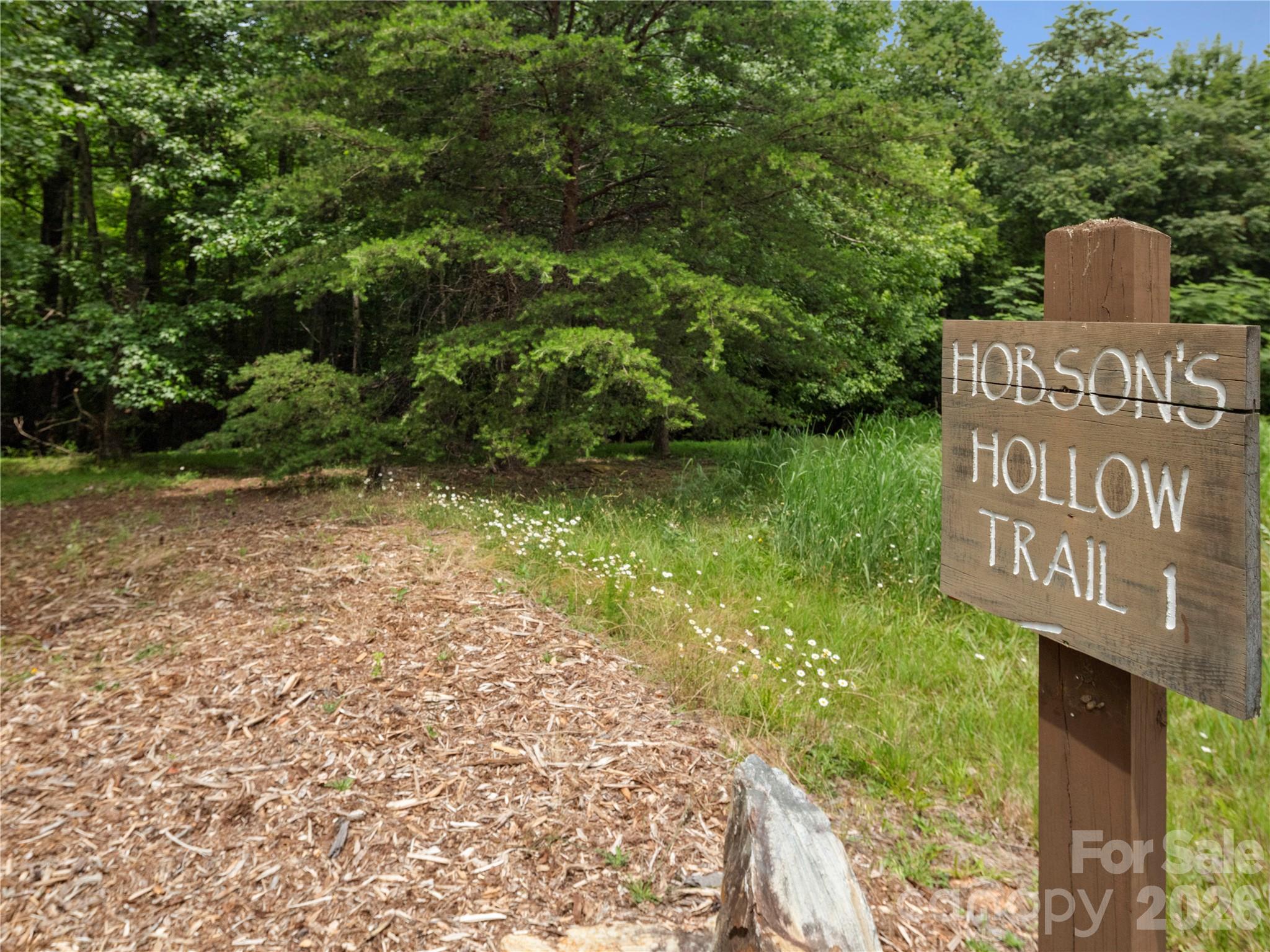 The Arbor at Lake James - Residential