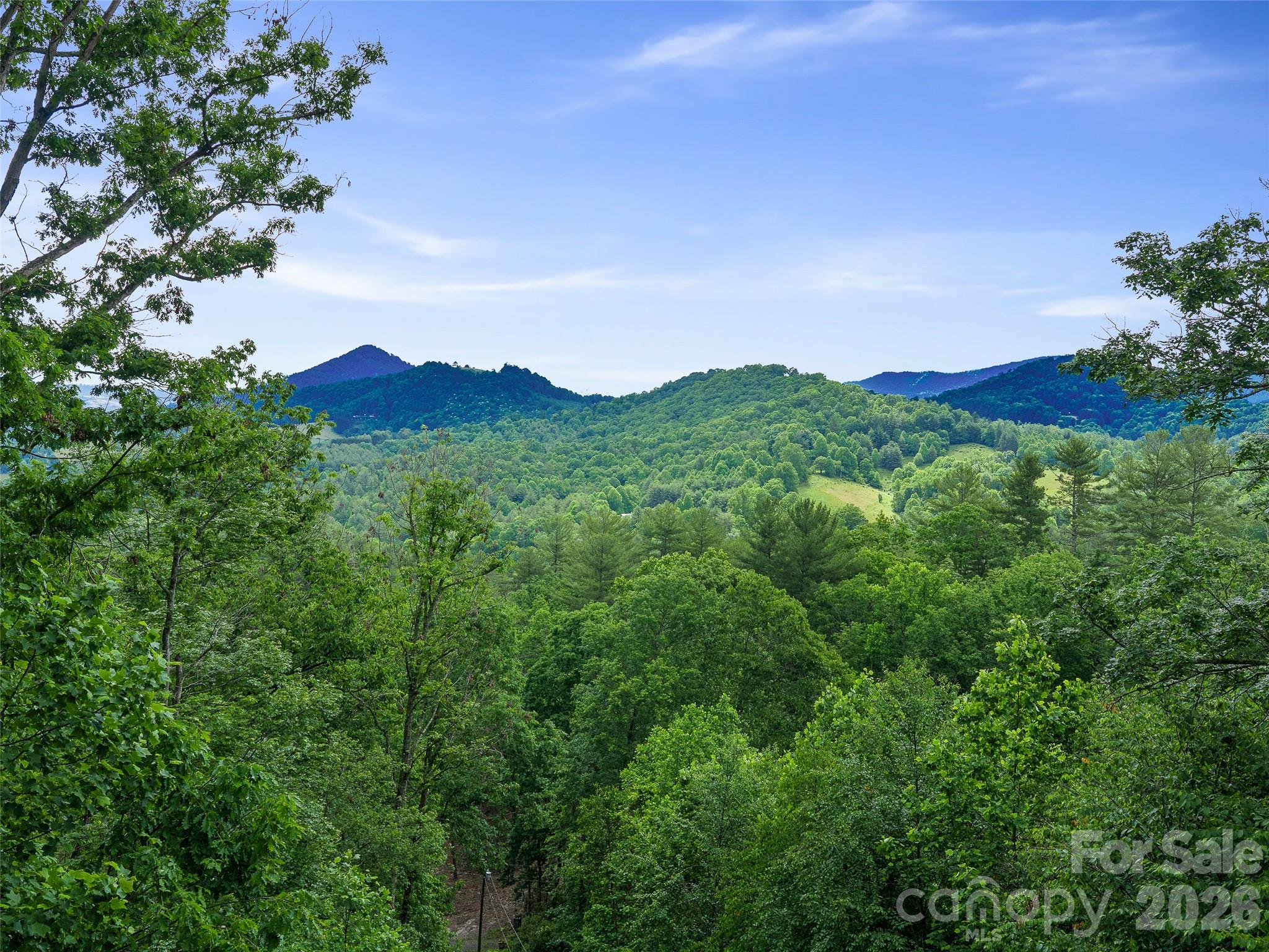 Breathtaking Mountain Retreat - Your Dream Home Awaits!

Welcome to your very own slice of paradise nestled in the heart of nature! This stunning house, surrounded by the majesty of year-round mountain views, offers an exceptional blend of luxury, privacy, and convenience. Situated on 5.65 pristine acres at the end of a peaceful road, this property is a rare find that combines the best of tranquil living while being just moments away from town and shopping.

As you approach the property, you’ll be captivated by the serene surroundings and lush landscaping that beckons you to explore further. Step inside, and you will be greeted by a modern gourmet kitchen that is truly a chef's delight. Outfitted with high-end materials and top-of-the-line appliances, this space is perfect for hosting dinner parties or enjoying quiet family meals. The open layout seamlessly flows into a spacious living area, complete with two elegant fireplaces that provide warmth and ambiance for all seasons.

The bathrooms are equally impressive, featuring luxurious marble shower surrounds that transform everyday routines into spa-like experiences. Every inch of this home has been impeccably maintained, showcasing the quality craftsmanship and attention to detail throughout.

The home further boasts features that ensure peace of mind and comfort, including a whole-house back-up generator and maintenance-free leaf filter gutters. Natural light pours into the home through skylights, creating an inviting atmosphere that makes you feel at one with nature. Pre-wired for Starlink, you’ll enjoy high-speed internet connectivity while immersing yourself in the tranquility of this mountain retreat.

For those who appreciate additional living space, you’ll love the detached cottage. Whether you envision it as a guest house, home office, or creative studio, this versatile space expands your living options and adds to the charm of the property.

Step outside onto the expansive grounds, where you can take in the breathtaking views and the serene sounds of nature. With ample space for gardening, outdoor activities, or simply soaking up the sun, this outdoor oasis is perfect for both relaxation and entertainment.

This one-of-a-kind home is not just a place to live; it’s a lifestyle waiting for you to embrace. Don’t miss your chance to own this magnificent property that offers the perfect balance of modern luxury and natural beauty.

Schedule your private tour today and experience firsthand the enchanting allure of this mountain retreat. Your dream home awaits!