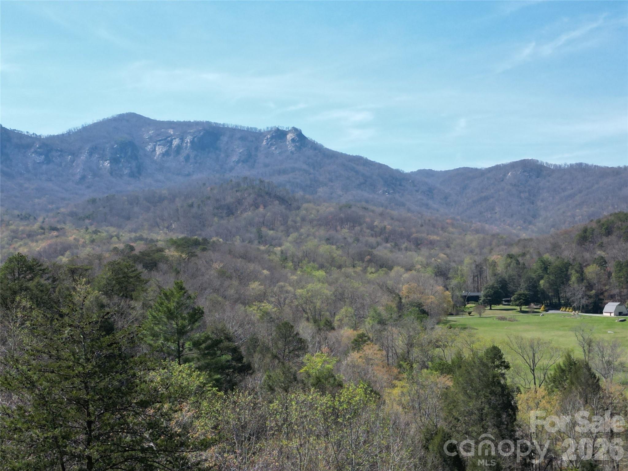 Rumbling Bald on Lake Lure - Residential