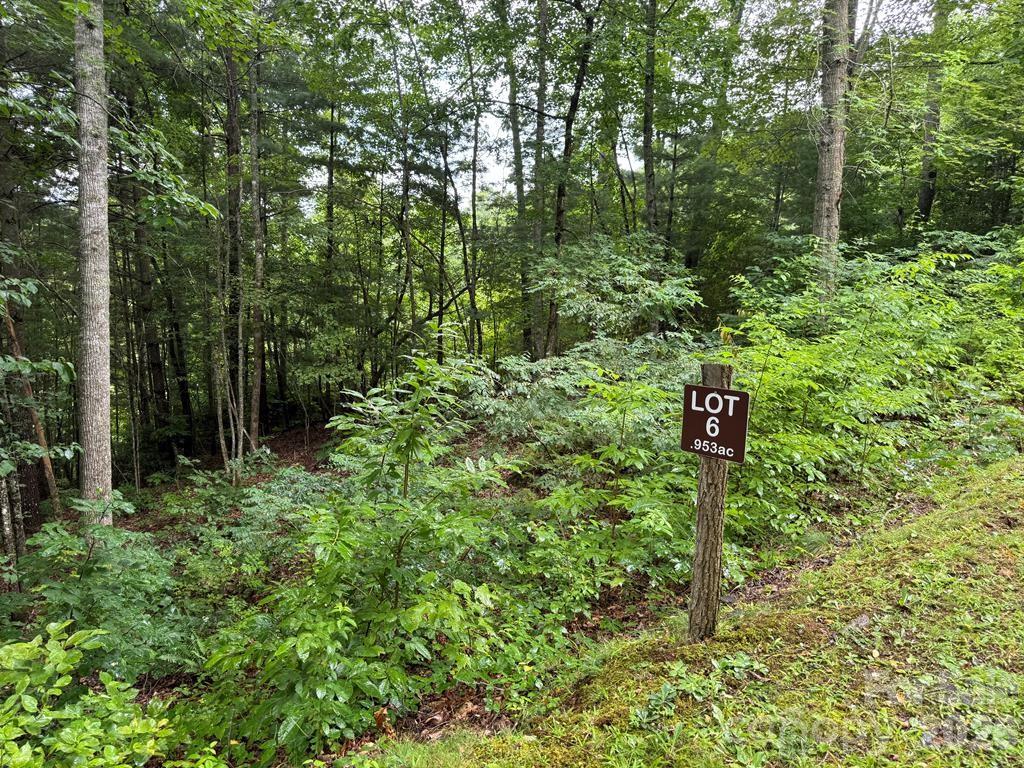 Have you been searching for a mountain sanctuary to build your dream home? Look no further, this lot in Garnet Ridge has it all. The gated community has great mountain views, surrounded by national forest and a creek to dip your feet into. There’s a pond, waterfall, a clubhouse with fireplaces, meeting rooms, saunas, showers, kitchen and coffee bar, imagine the fun! Close by are the quaint towns of Dillsboro, Sylva, Franklin, Bryson City and Cherokee where you will find activities such as hiking, fishing, tubing, dining, breweries and year-round festivals.