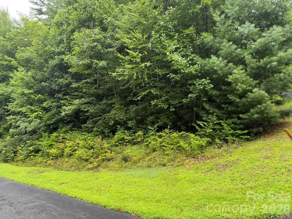 Garnet Ridge Preserve - Land