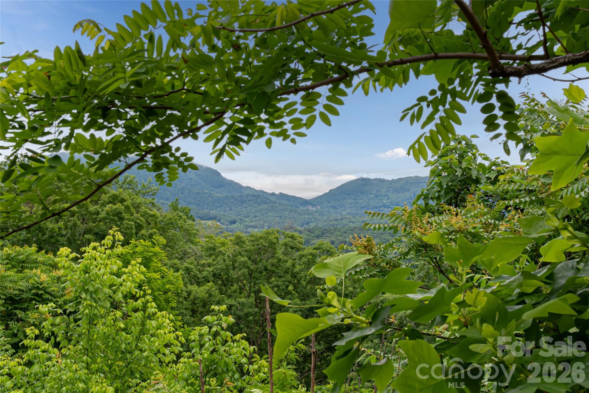 Elevated above Asheville in the prestigious enclave of Beaucatcher Heights, this exceptional 1.45-acre homesite offers year-round, long-range mountain views and unmatched privacy. Its commanding position and gently sloping topography provide the perfect canvas for a bold architectural statement, designed to capture the natural splendor of the Blue Ridge Mountains. Nestled within the historic Kenilworth neighborhood, Beaucatcher Heights offers a rare blend of wooded serenity and urban convenience, with sidewalks, streetlights, and wide, walkable streets. Light architectural guidelines preserve the community’s refined aesthetic while allowing for design flexibility. Located just minutes from downtown Asheville, Biltmore Village, and Mission Hospital, this premier lot presents a unique opportunity to build a custom mountain retreat that feels secluded, yet remains close to everything.