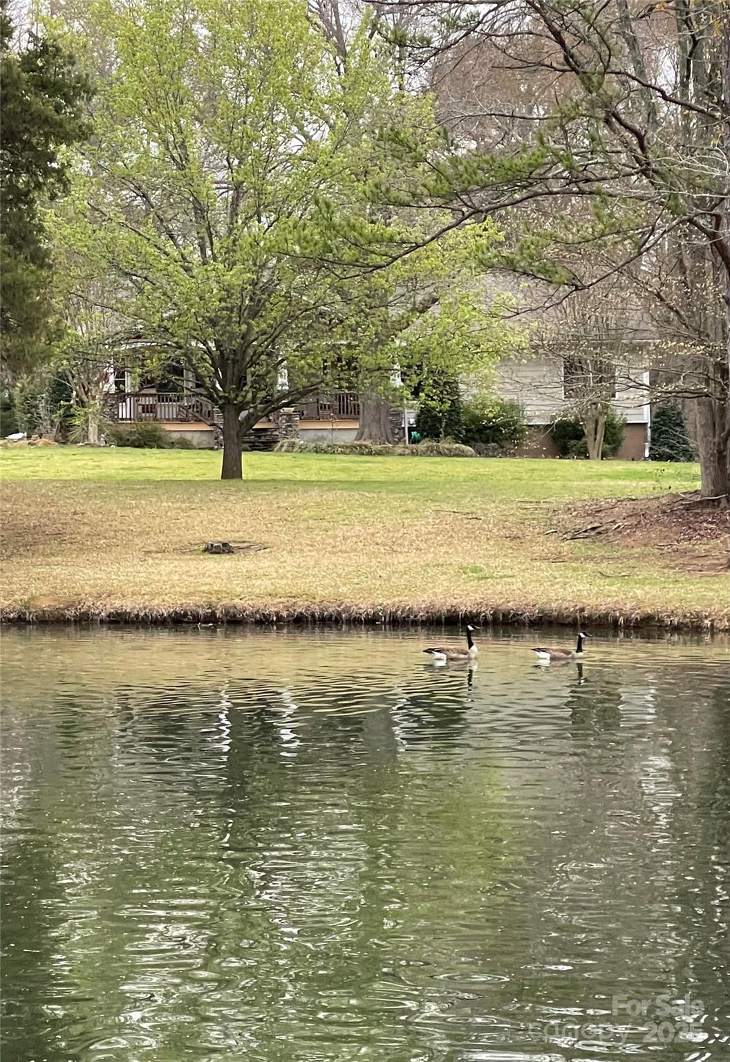 Black Horse Run - Residential