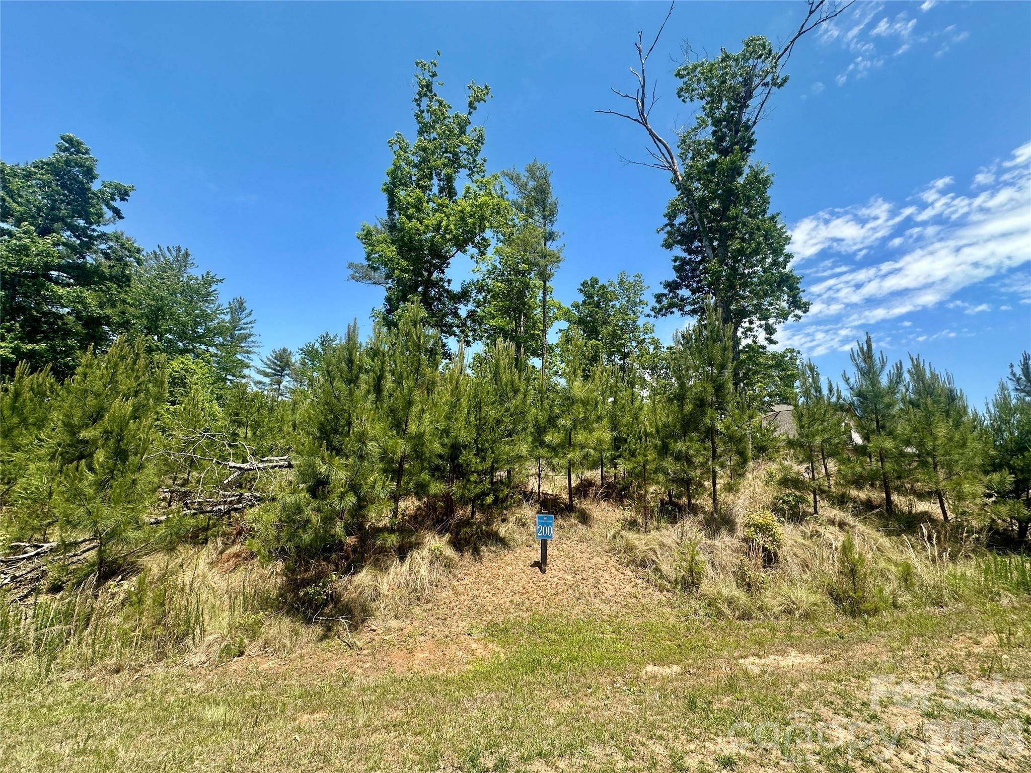 This 1.195 acre corner lot is located in The Waterfront Club, a beautiful gated community offering an exceptional blend of relaxation and recreation. Residents enjoy an impressive array of amenities, including an outdoor pool, clubhouse, recreation area with playground, sandy beach, kayak launch area, floating dock, and miles of scenic walking trails. Conveniently located just minutes from Castle Bridge Marina, as well grocery, and medical facilities, this property offers the perfect setting to build your dream home and enjoy the best of lake community living.
