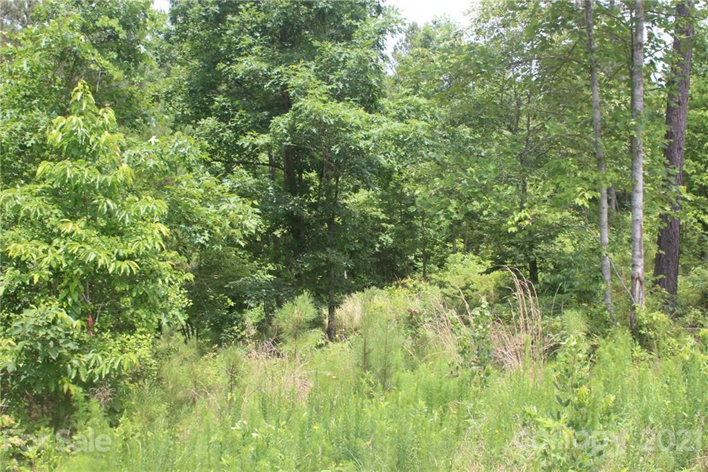 Island Pointe at Lake Vistas - Land