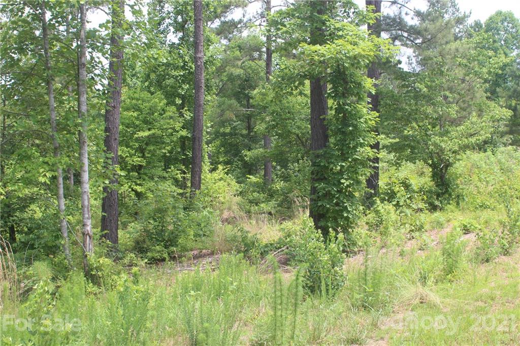 Island Pointe at Lake Vistas - Land