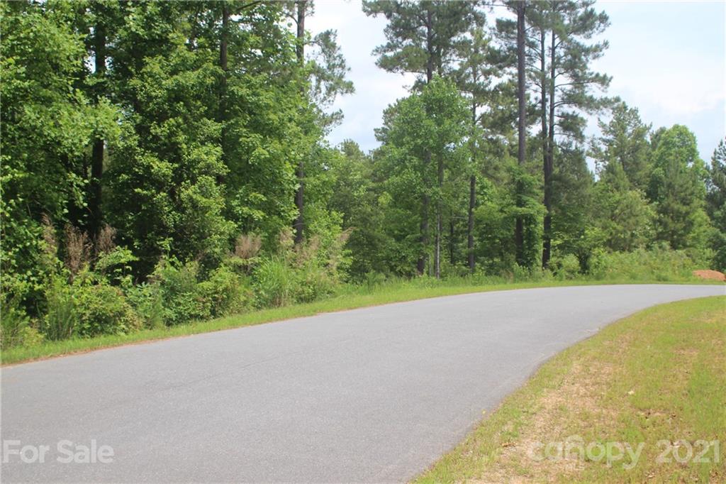 Island Pointe at Lake Vistas - Land