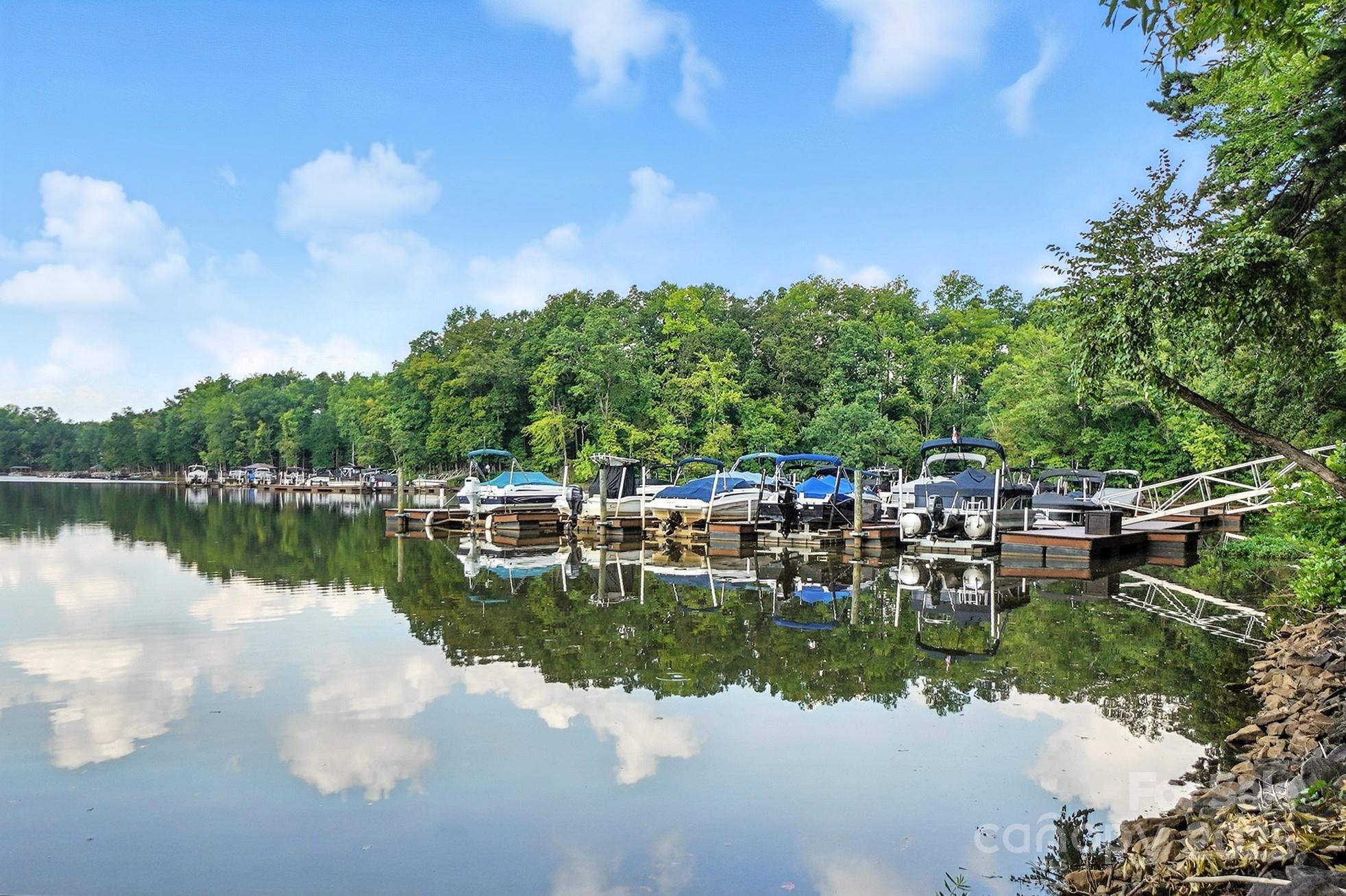 The Vineyards on Lake Wylie - Residential