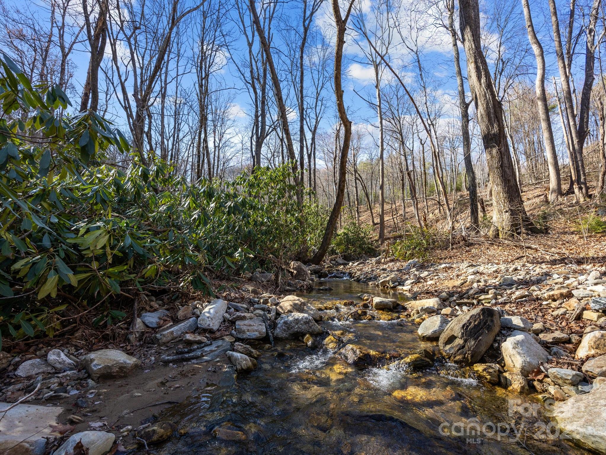 Brights Creek - Land