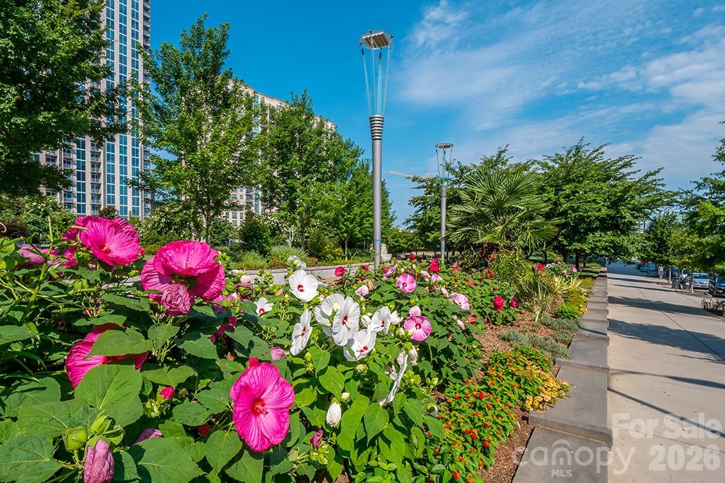 Court 6 - Residential