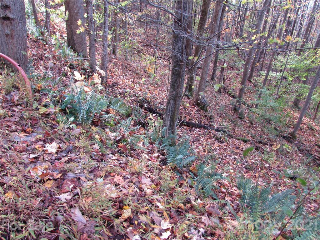 OWNER Says SELL !!  All legal offers will be submitted for approval. Don't miss this great Opportunity for Great savings !! Red Wolf Run is the perfect mountain community to escape to for your vacation or year round retirement home with 3000+'elevations. Features a clubhouse, green space with picnic area, waterfall and pond with catch-release fishing, gazebo, trails. Great roads throughout lead to this 2.12 acre lot with nice home site and has easy access. Gentle rolling building site with underground electric, fiber internet and telephone offers views with no obstructions and priced below tax value. 15 minutes to the town of Mars Hill or Wolf Laurel Ski Resort. Under 30 minutes to Asheville and 15 minutes to Burnsville.  The Black Mountains have become the destination for many wanting to escape if only for the weekend. Plenty to do yet the privacy to relax and enjoy life.  Start here by visiting this  beautiful mountain development with protected common areas, waterways, conservation areas and streams. Owner Financing at 1/2 off prevailing rates.