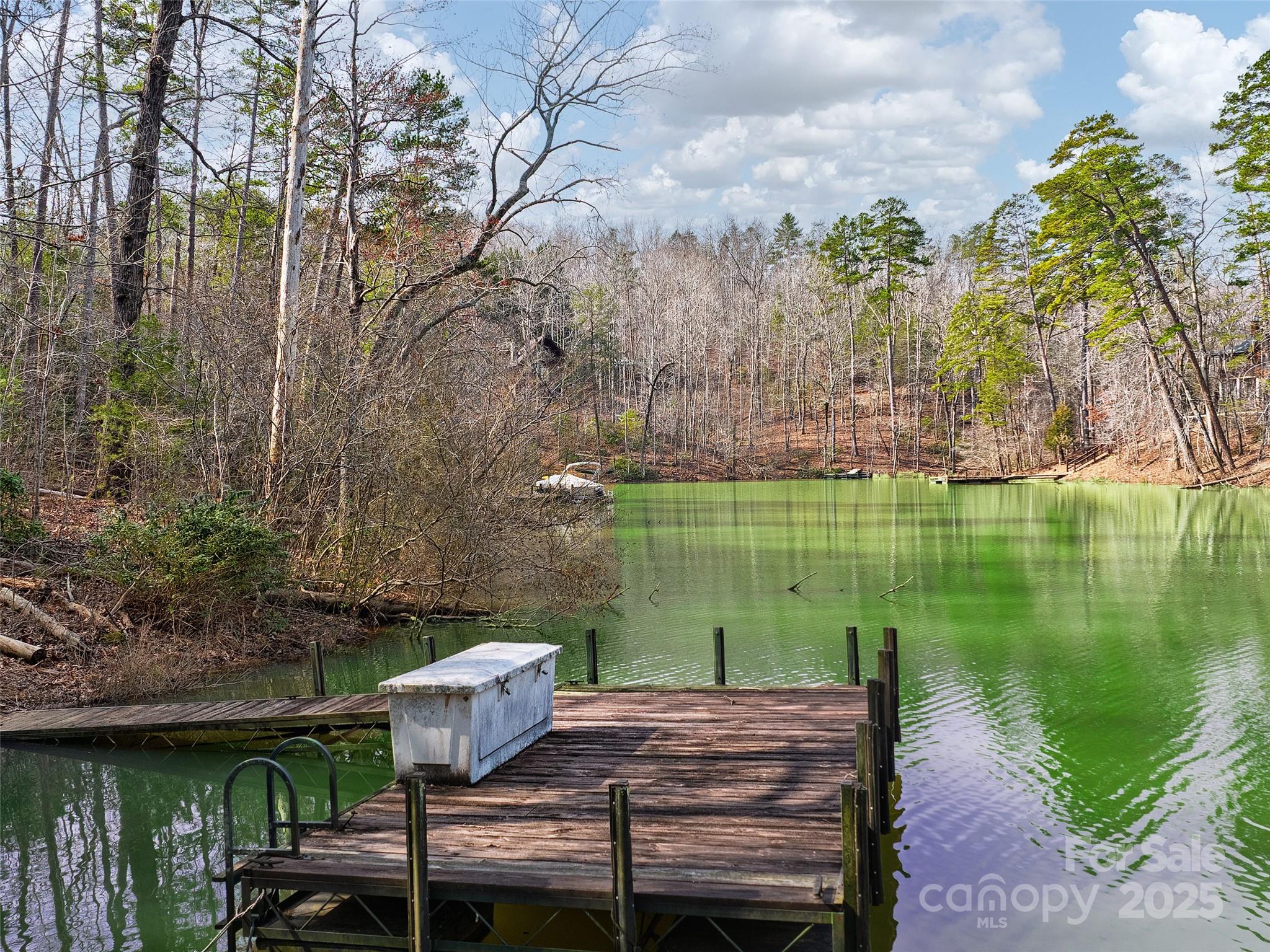 Lake Adger - Land