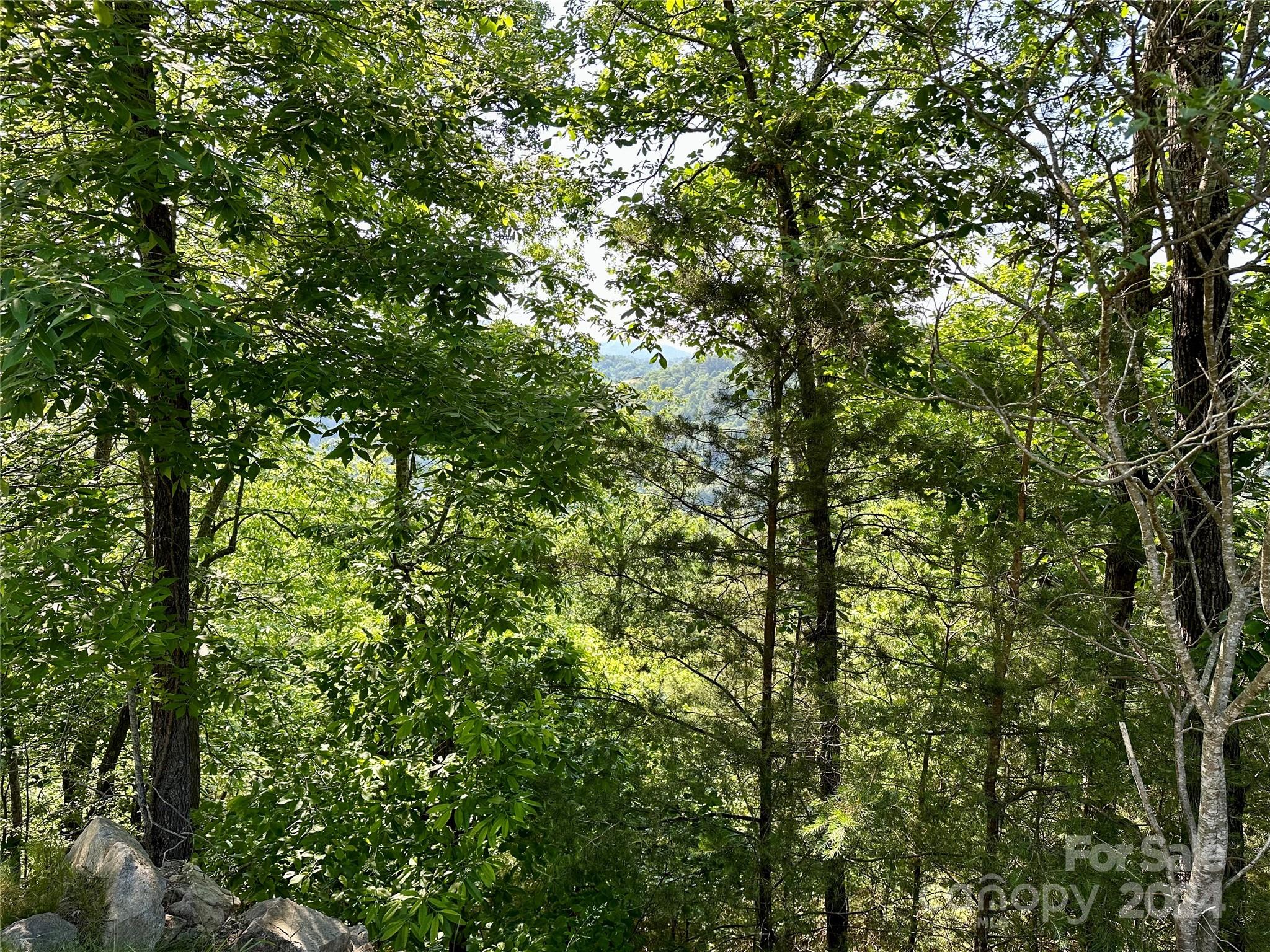 With a lovely sunrise view, this 3.27 acre lot is waiting for you to build your dream mountain retreat! Are you looking for the perfect blend of location and view to execute that dream? Look no further! This just might be "that" spot to build your sanctuary. There is conservation land on one side & a river view  lot that is also available on the other side. Privacy! French Broad Crossing is a gated conservation community with easy access to Asheville, Hot Springs, and Weaverville, all with activities galore! Enjoy the River Lodge, Fitness Center, Pool, River Park, Treehouse, and miles of walking/ATV trails! Relax and watch the sunset from the River Lodge, gather with family and friends by the fire, or just absorb nature on the trails. This is THE place to check out of the daily hustle and bustle and take a deep breath! Fiber Optic cable has also been wired throughout the neighborhood. FBC has a designated medical helicopter landing zone.