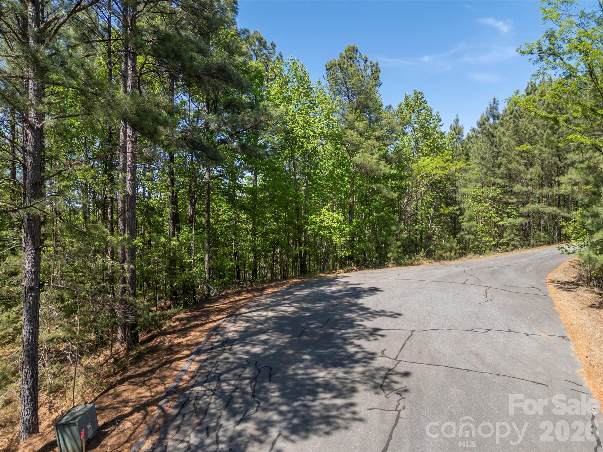 Discover the possibilities with this 1.83-acre wooded property in Yellowtop Mountain Estates, a gated mountain community known for its privacy and natural surroundings. Tucked in a peaceful setting, this property offers a quiet escape where you can create your own retreat or full-time home. Enjoy the best of both worlds—privacy and convenience—located within easy driving distance to Forest City, Rutherfordton, and outdoor recreation like Yogi Bear's Jellystone Park Camp-Resort. With short-term rentals permitted within the community, this property also presents a great opportunity for those looking to create a potential income-producing getaway.