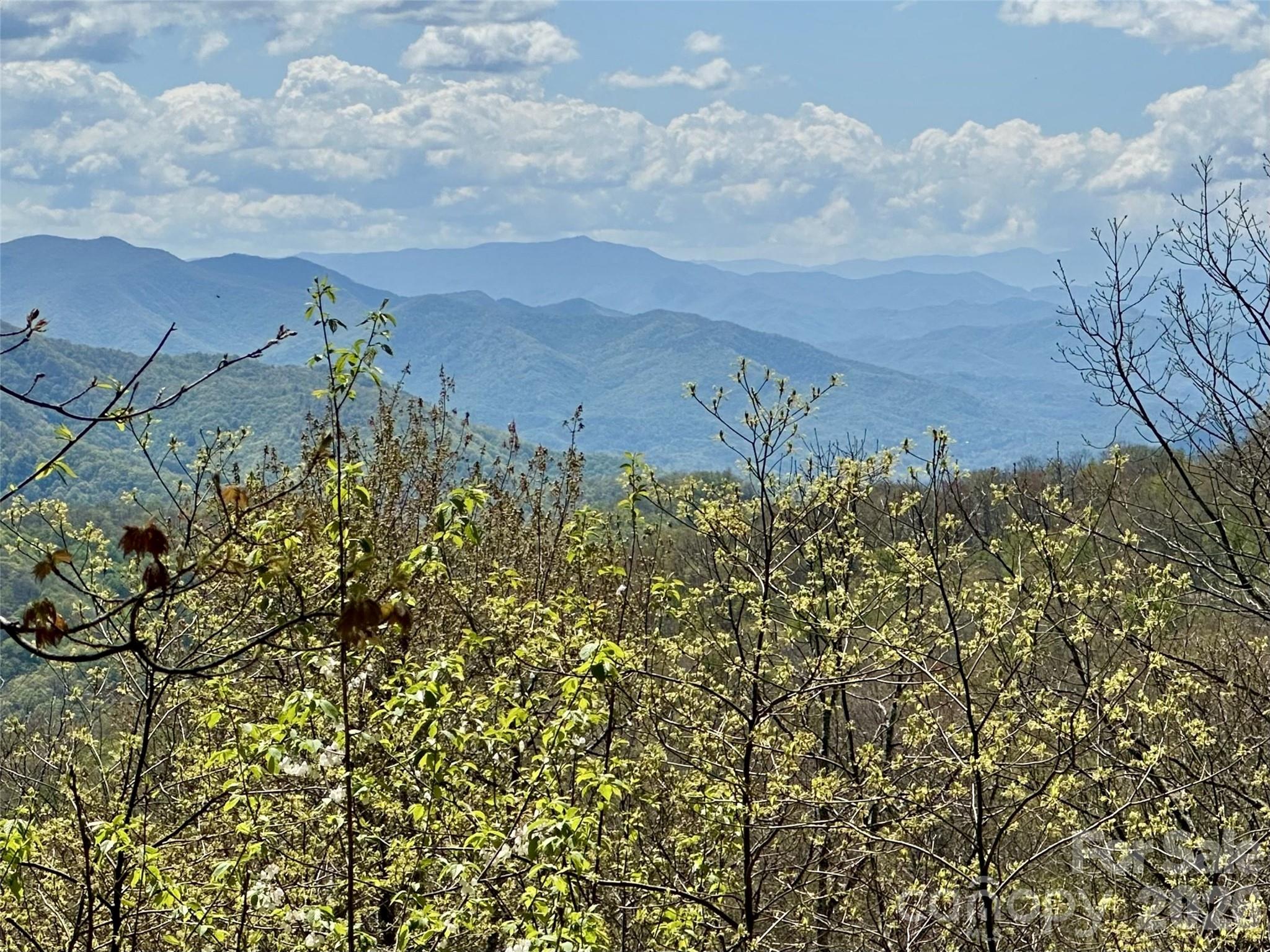 Beautiful, high-elevation parcel near the Blue Ridge Parkway between Maggie Valley and Cherokee, this pristine piece of land offers: layered mountain views to the SW, a level buildsite, and it adjoins National Parkway land and its abundant hiking opportunities. Far enough inside the development of Cranberry Falls to have a sense of peace and privacy, yet not too far back into the development and easily accessible. Gorgeous piece of property, and its 4500' elevation ensures you and your mountain retreat will enjoy cool Summer temps(average July high temp of 75 degrees at this heavenly elevation). Approved and active septic and well permits in place.