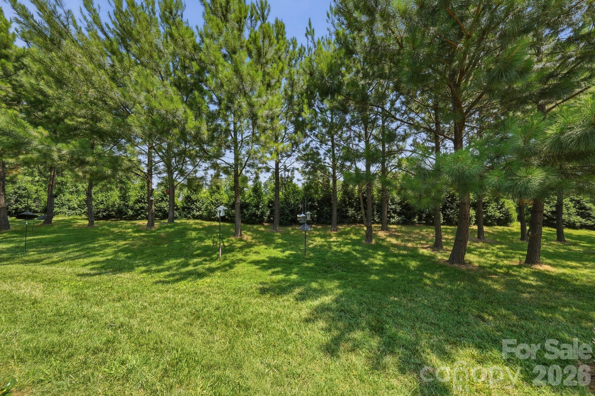 Stuarts Landing - Residential