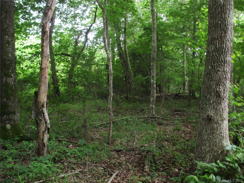 Waxhaw Farms - Land
