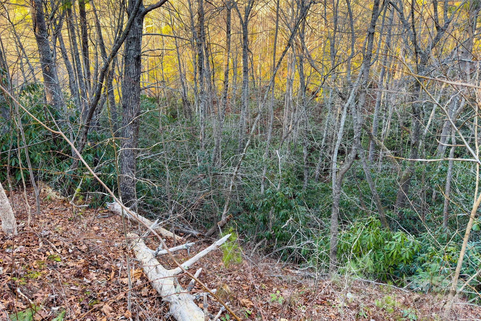 Fox Ridge - Land