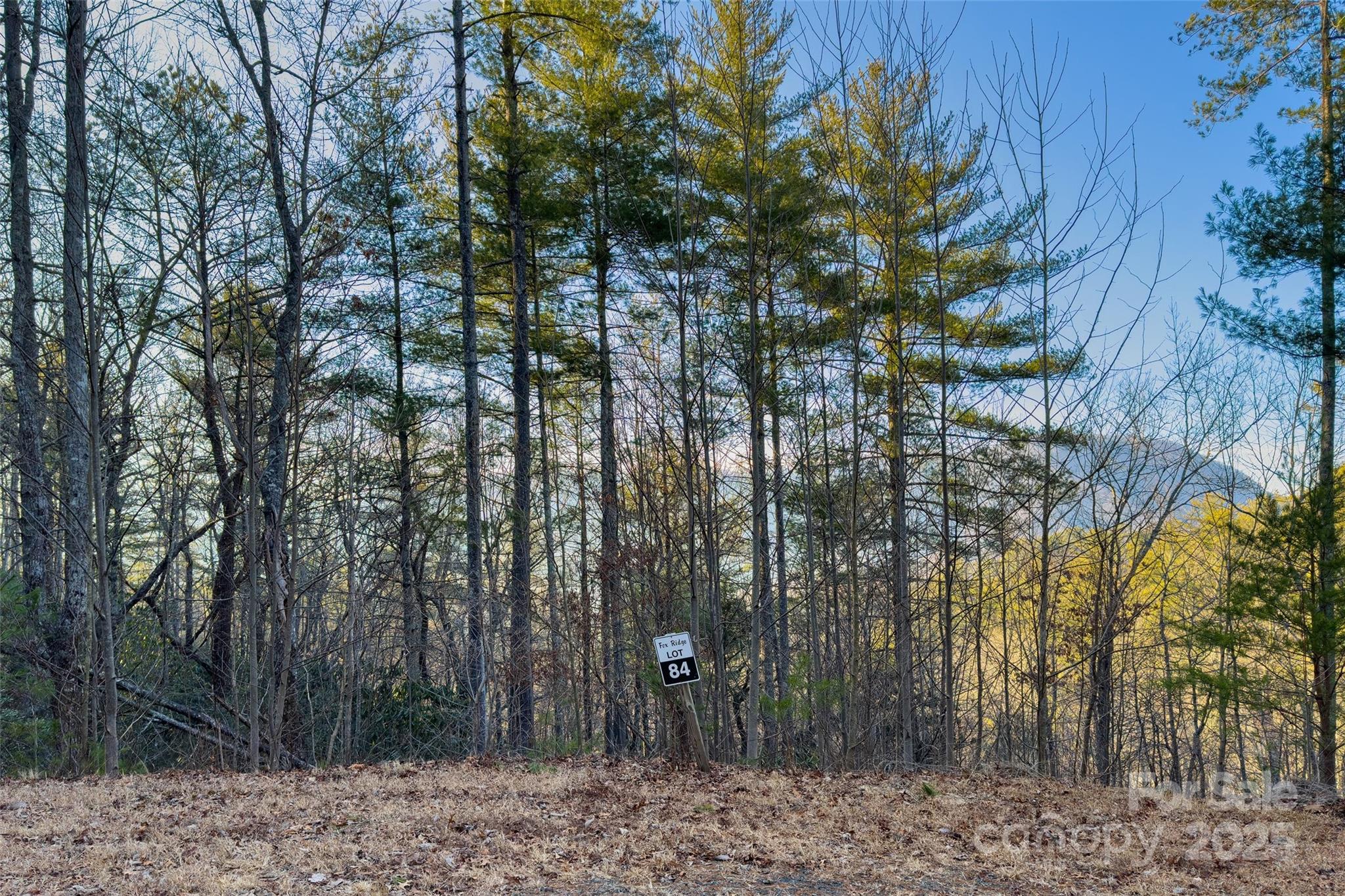 Fox Ridge - Land