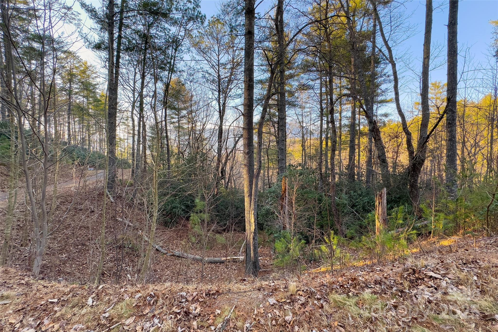 Fox Ridge - Land
