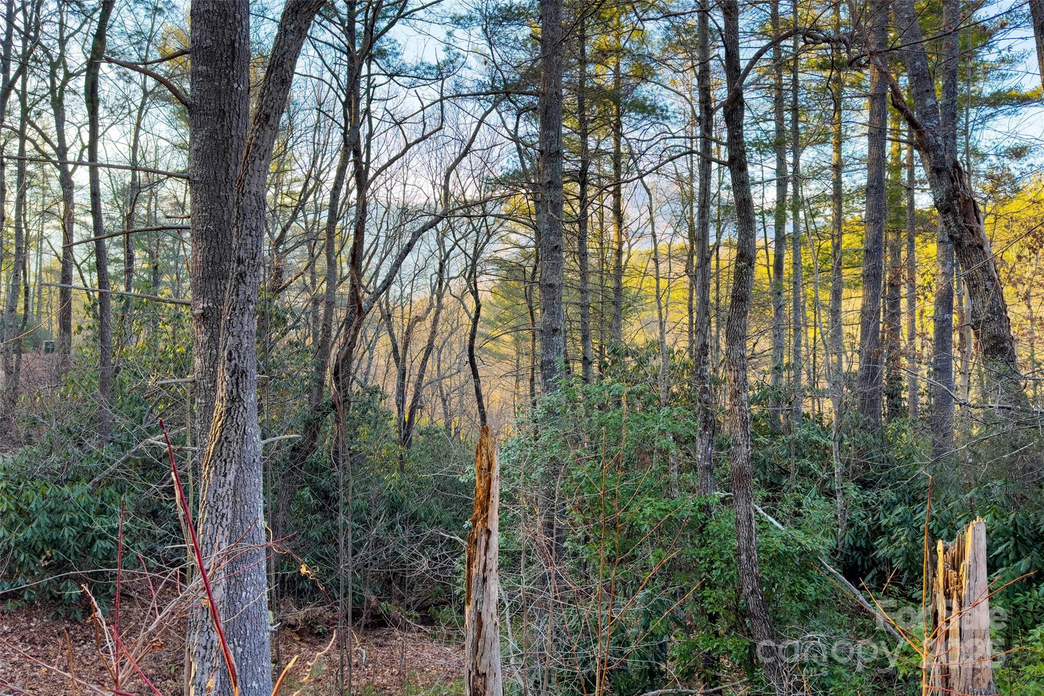Fox Ridge - Land