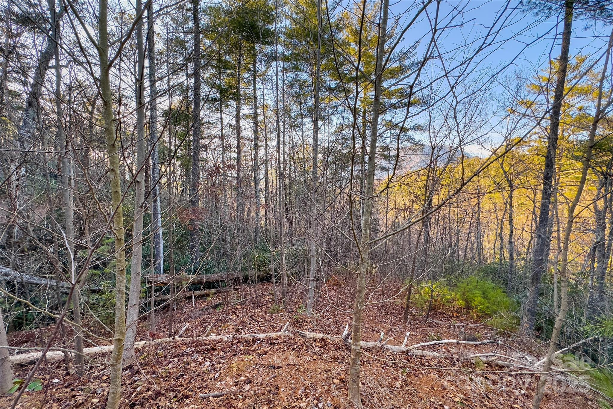 Fox Ridge - Land