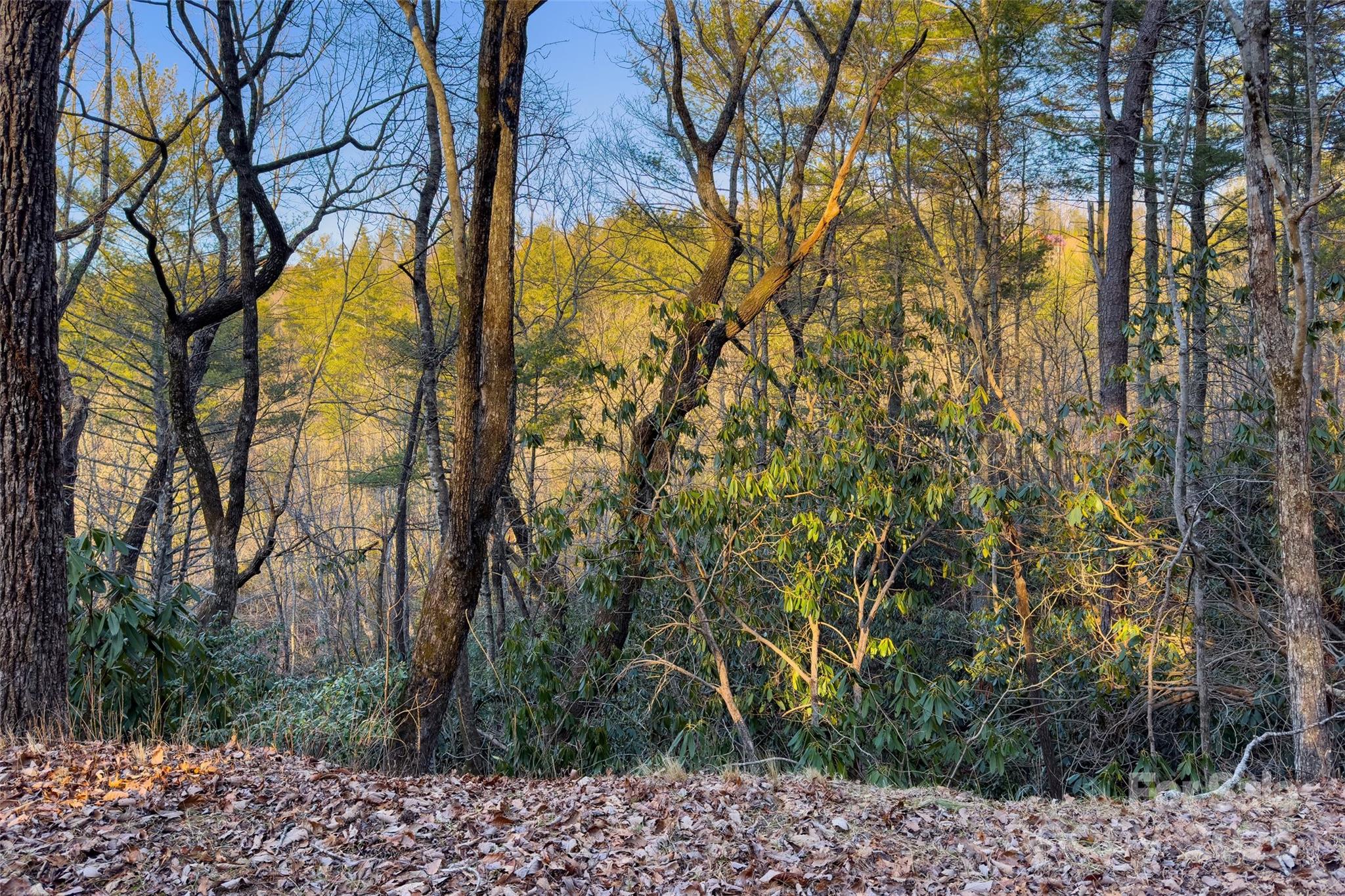 Fox Ridge - Land